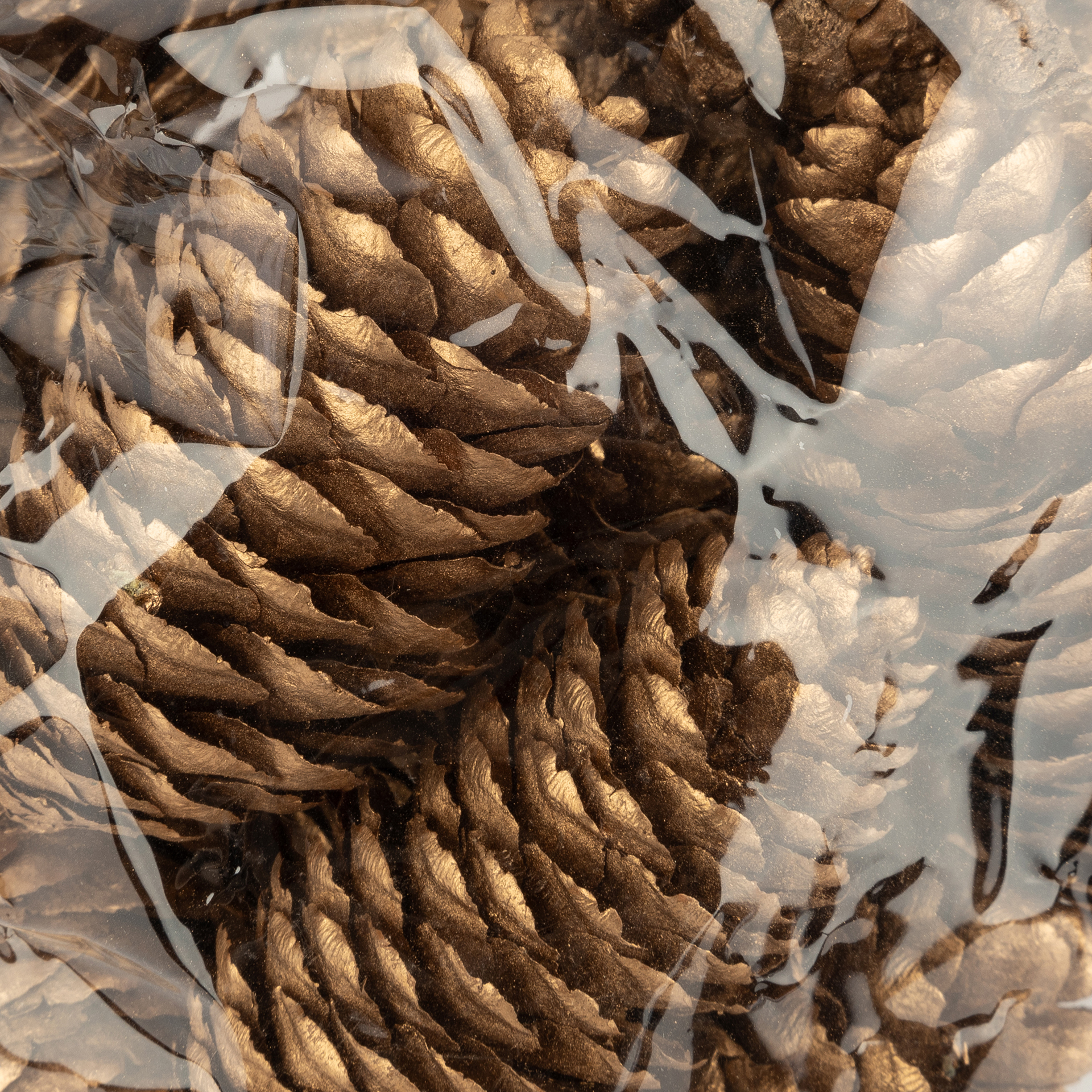 Bolsa de 18 piezas piñas doradas