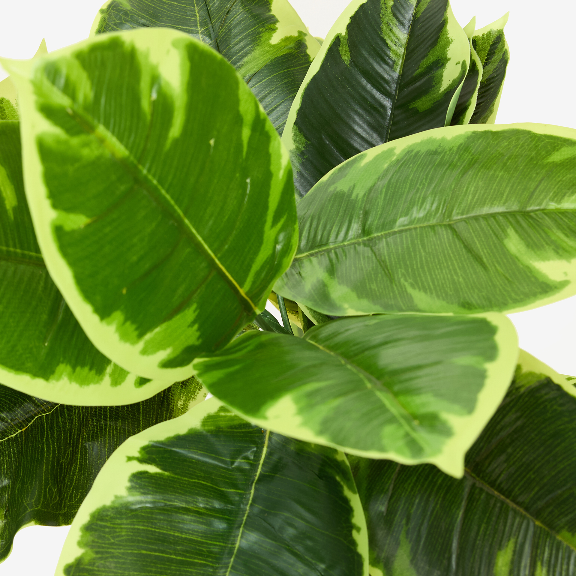 Planta artificial en maceta Ficus 145cm