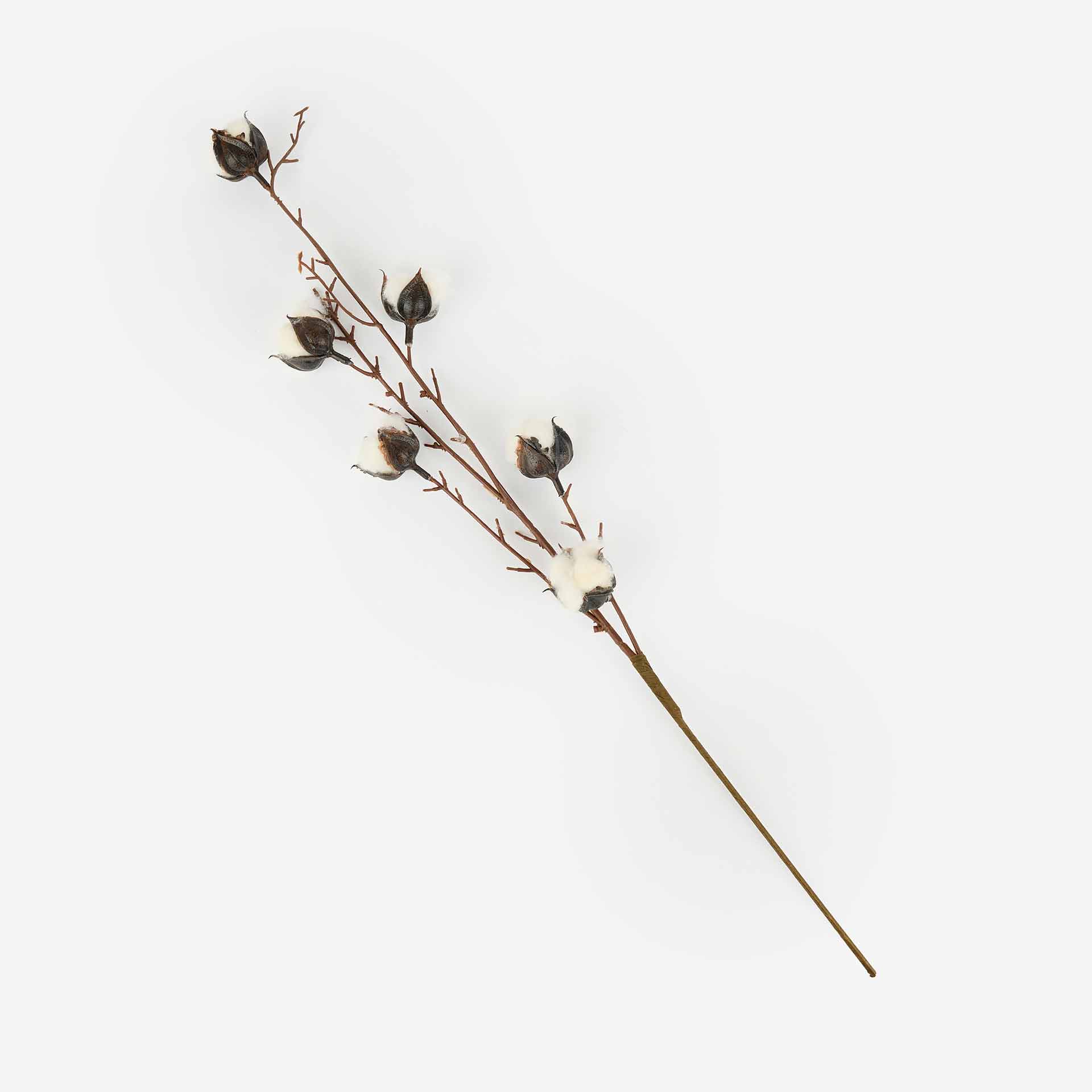 Rama de algodón de 62cm