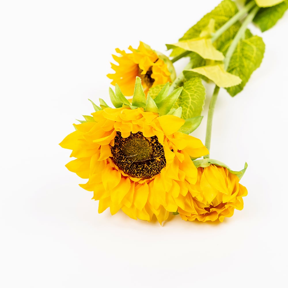 Vara de girasol amarillo