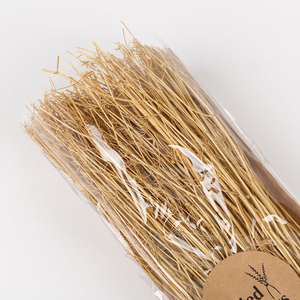 Ramo de ramas secas natural