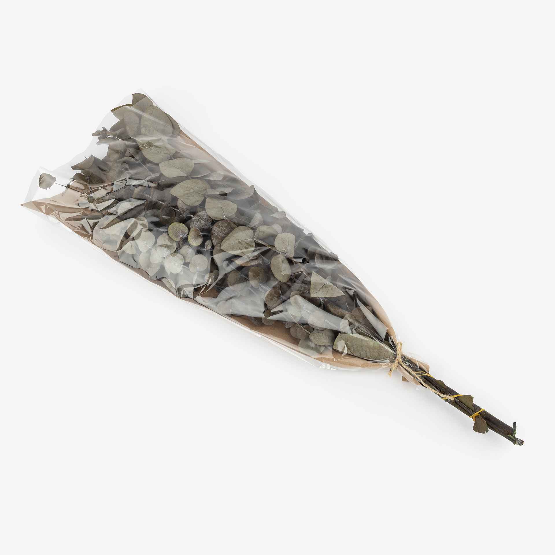 Ramo de eucalipto verde 56cm