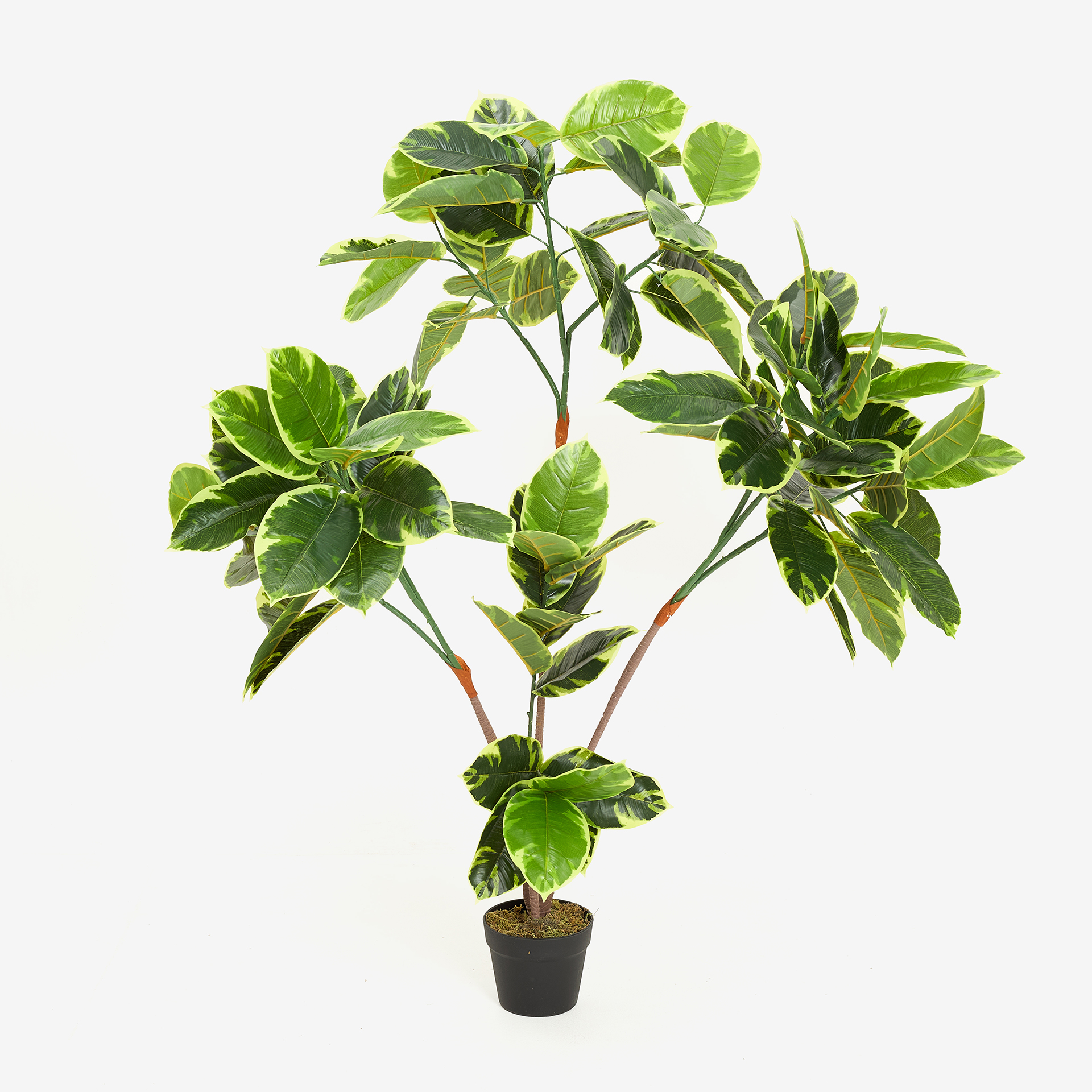 Planta artificial en maceta Ficus 145cm