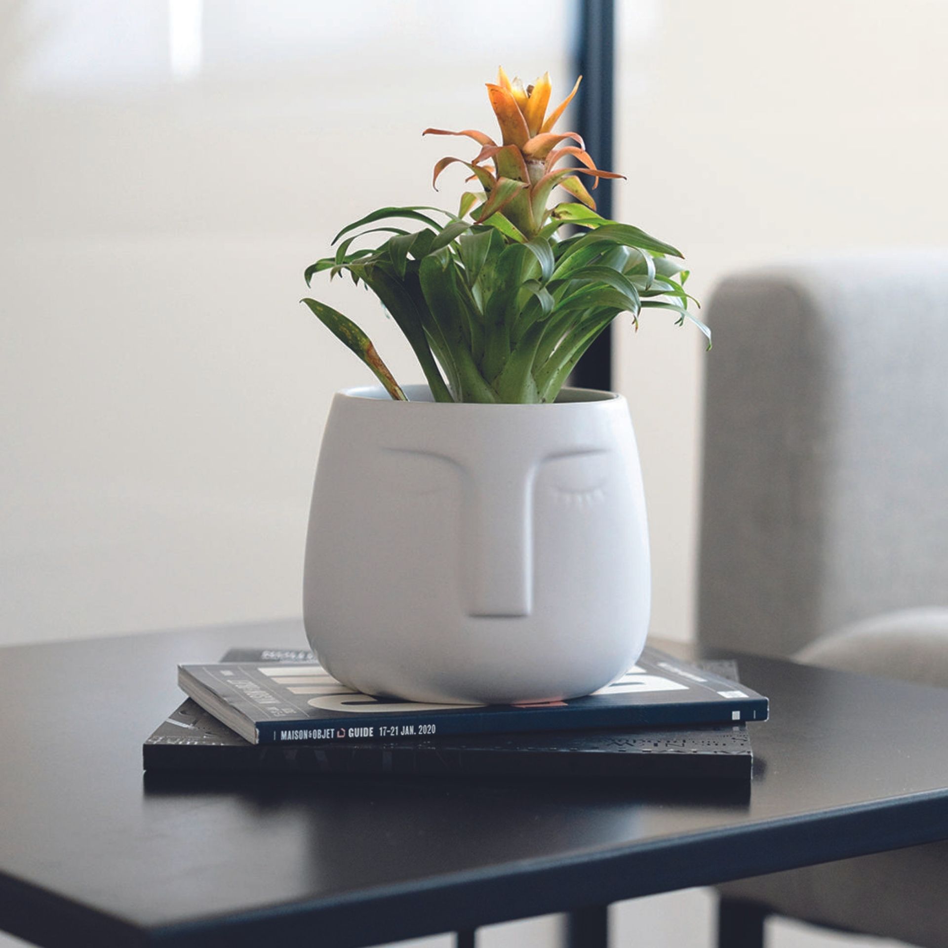 Macetero de cerámica blanco Ajanu Ø11cm