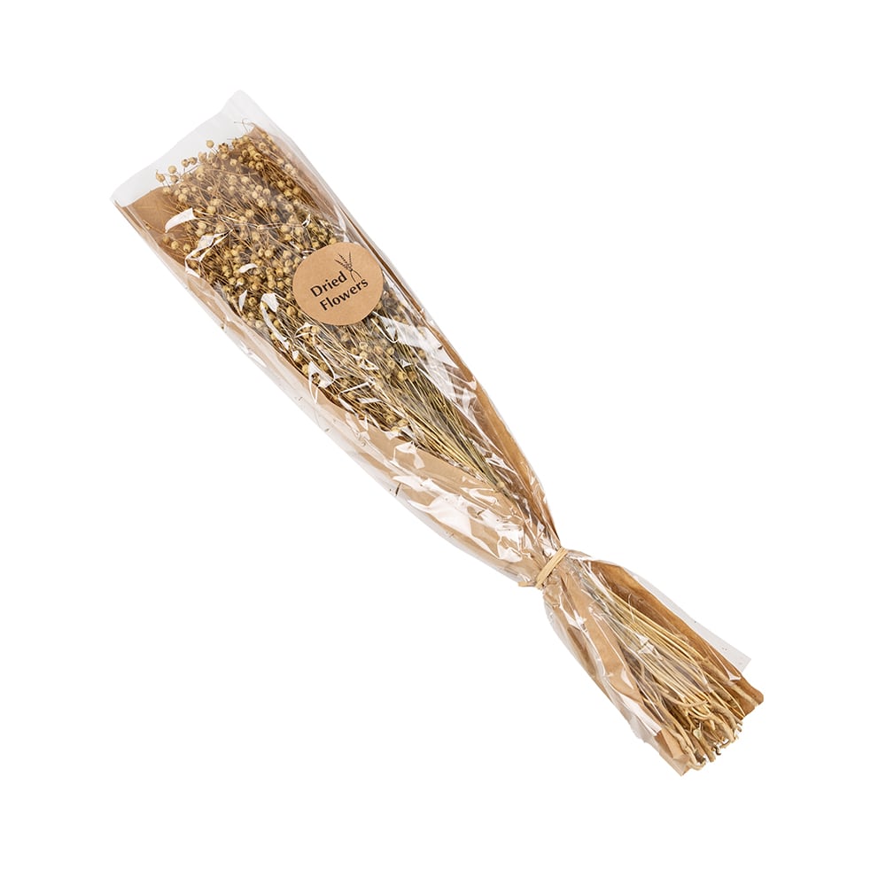 Ramo de ramas secas natural