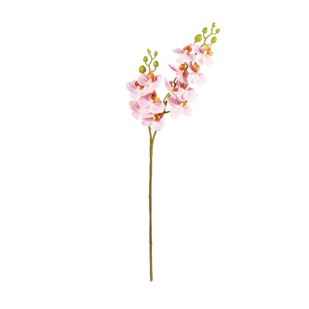 Vara orquidea mini rosa 64cm