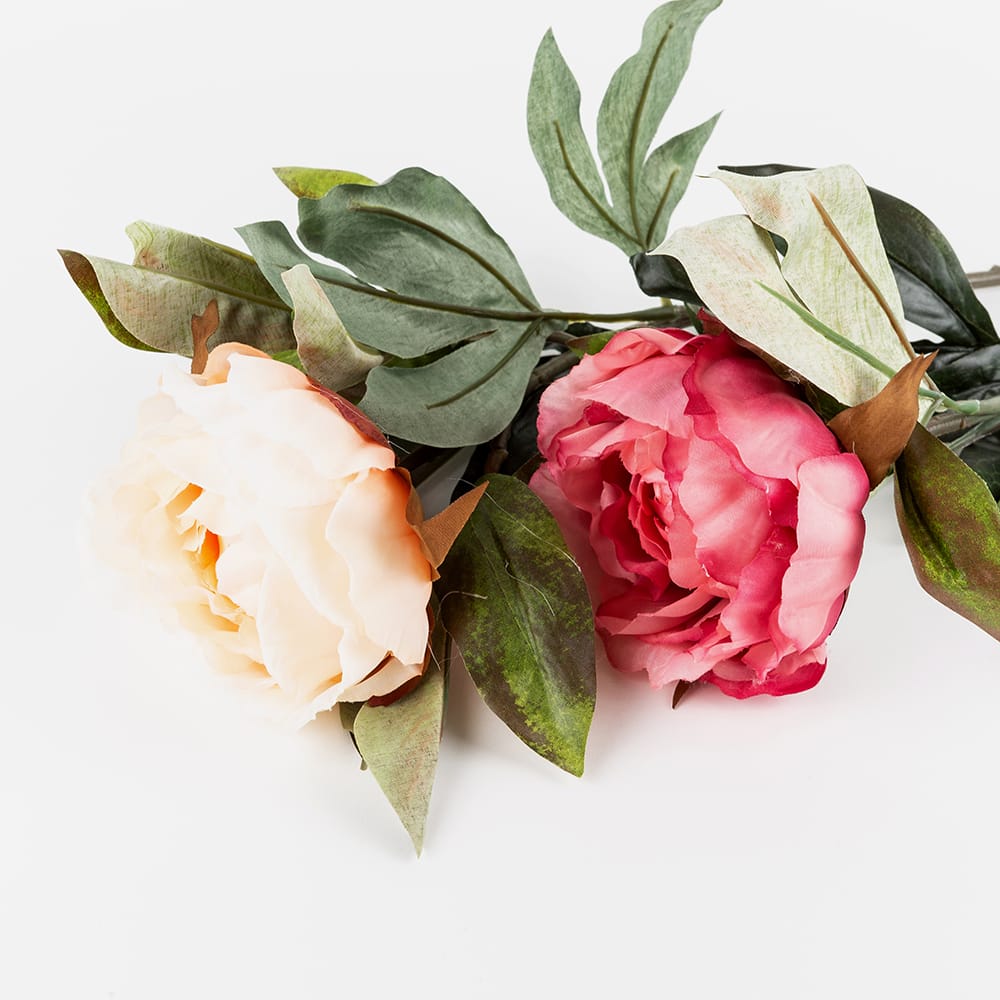 Vara peonia fucsia 80cm