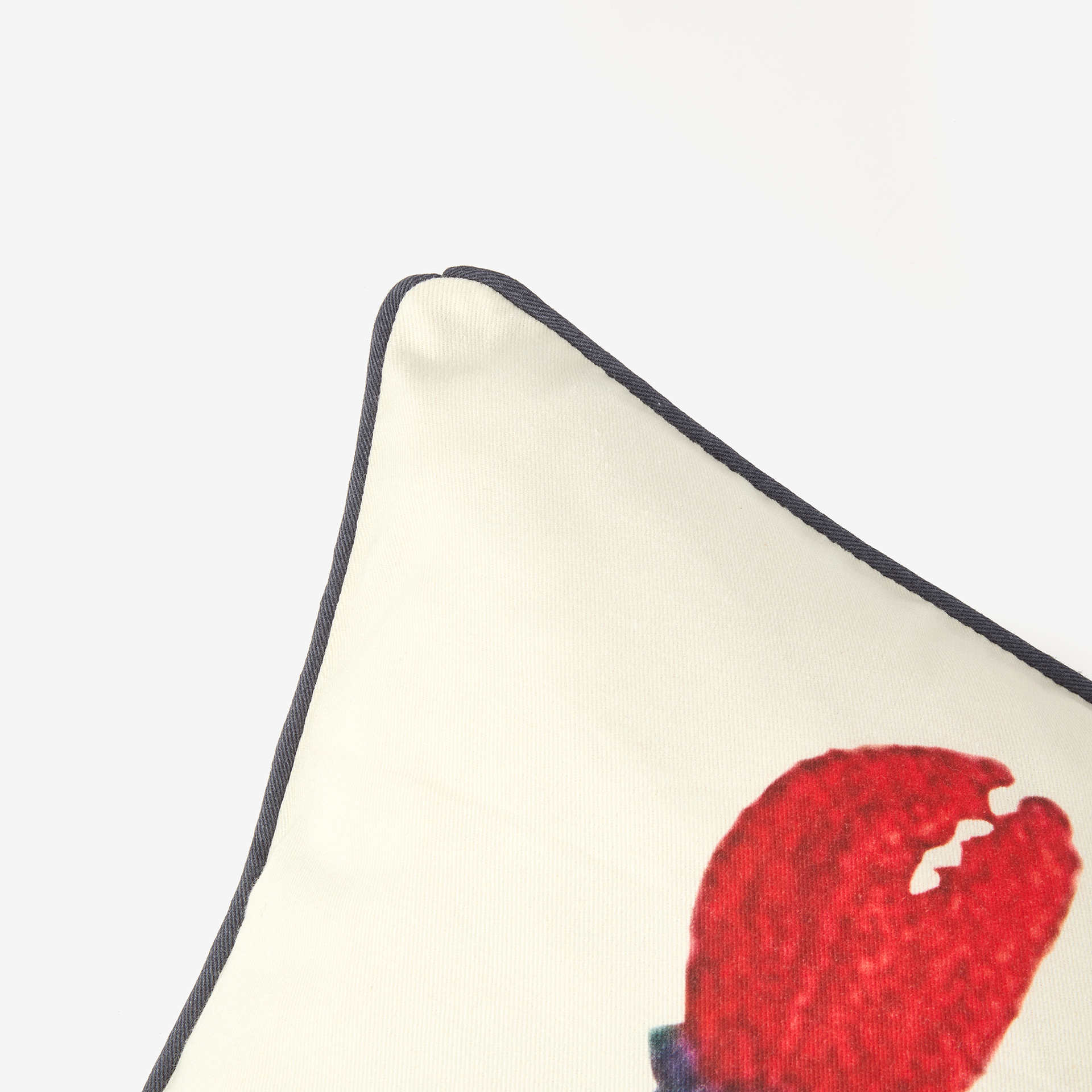 Funda de coj&iacute;n de algod&oacute;n Lobster 45x45cm