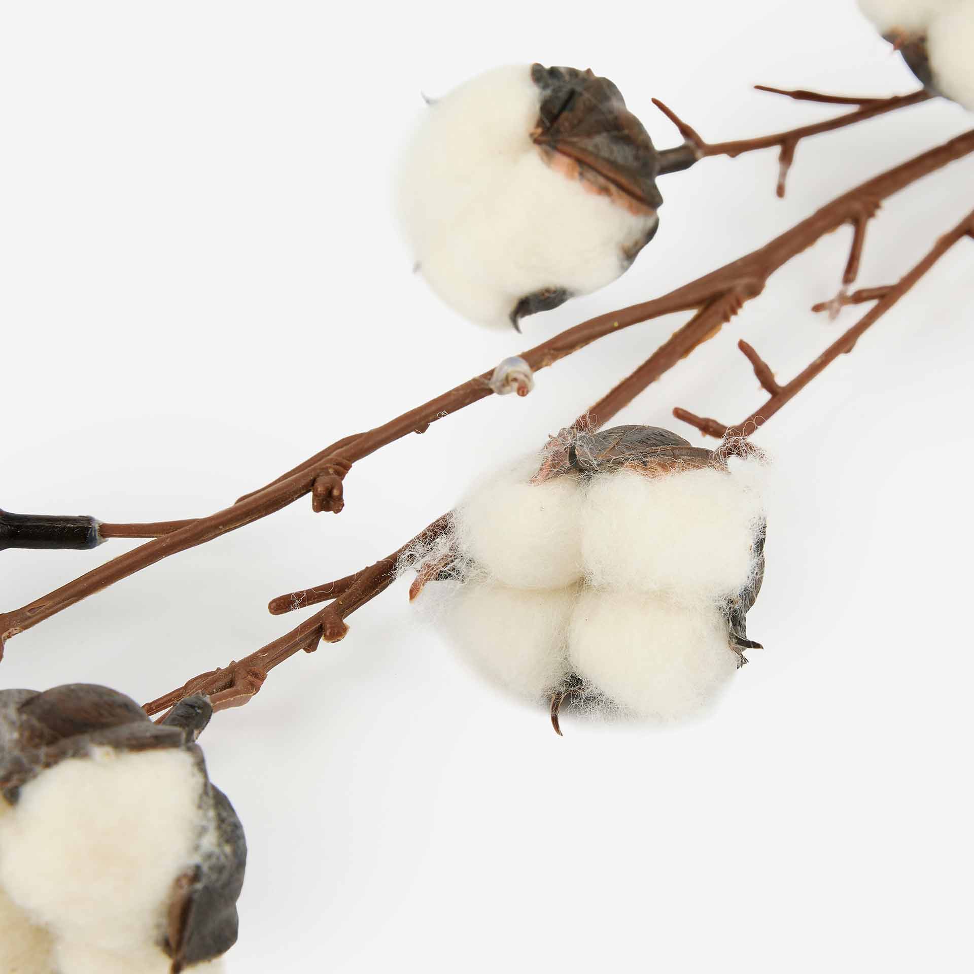Rama de algodón de 62cm