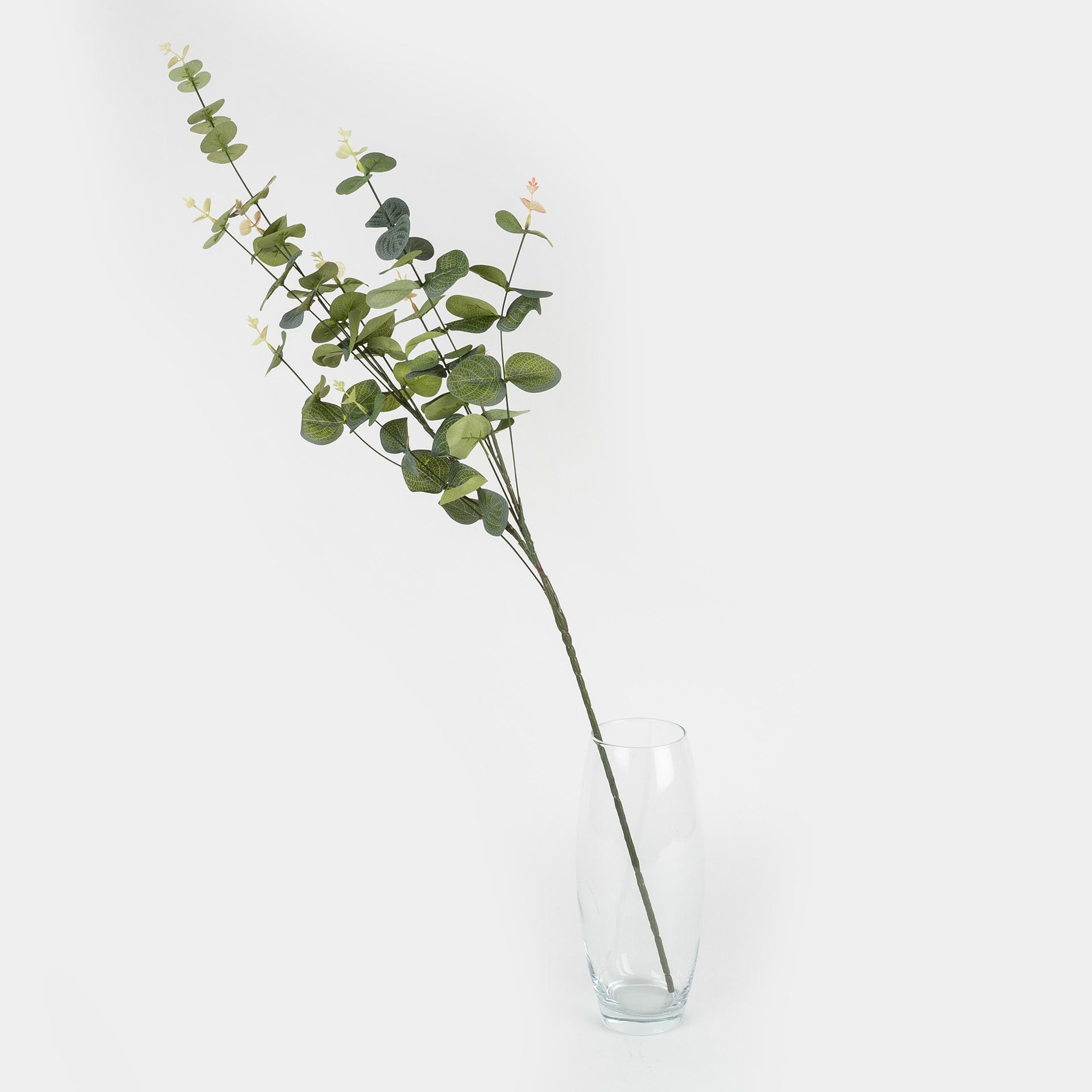 Rama de eucalipto 91cm