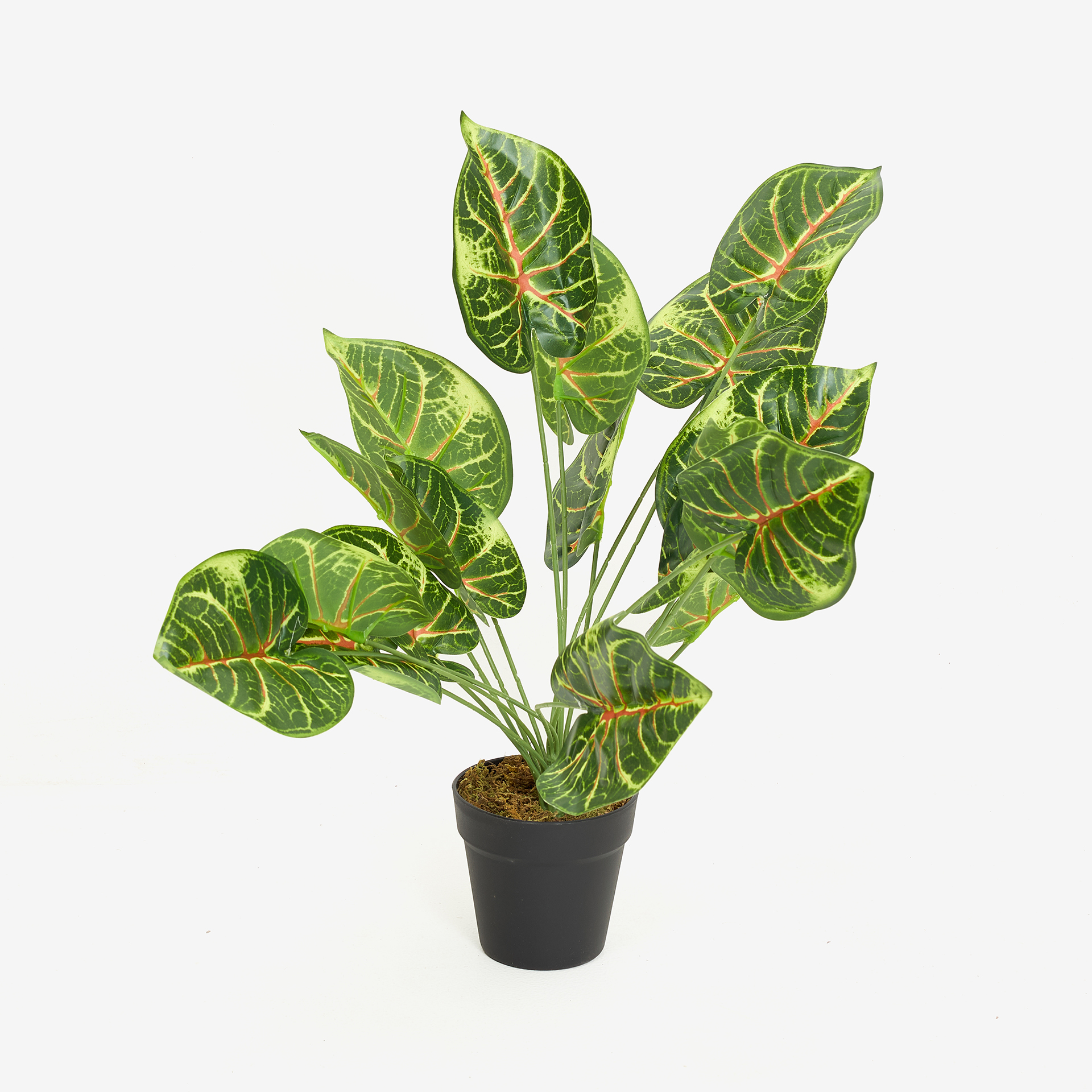 Planta artificial en maceta Singonio 60cm
