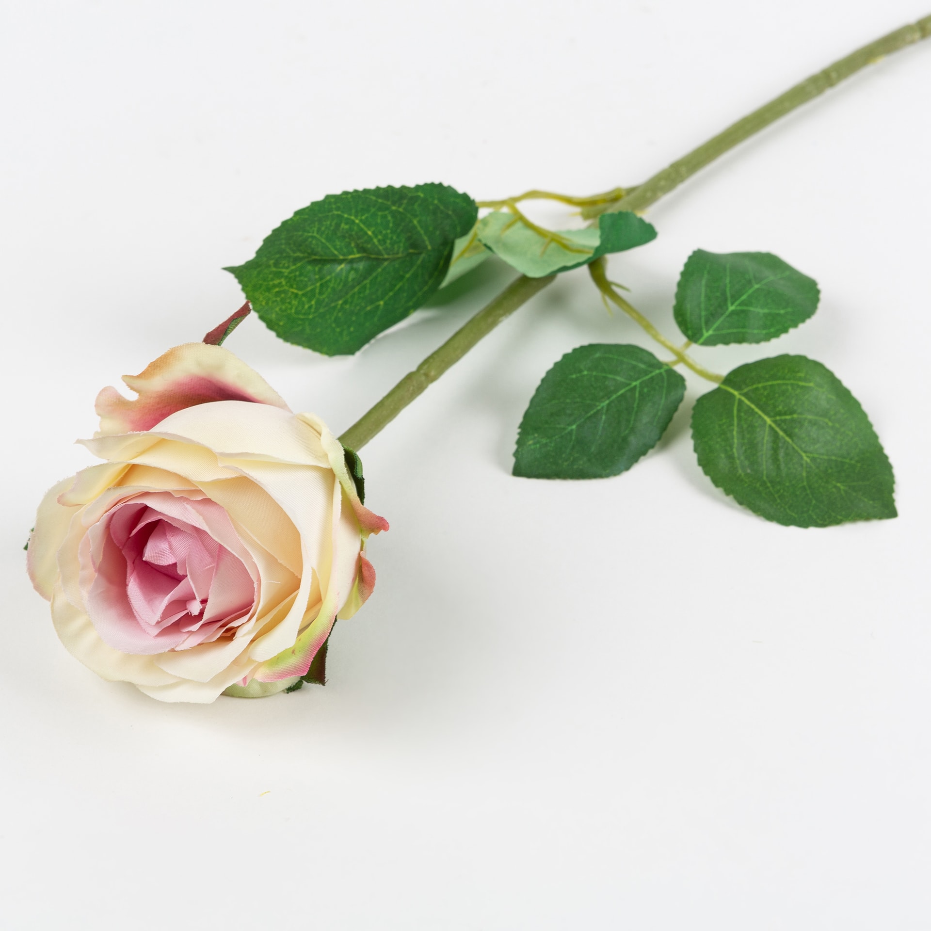 Flor rosa alena rosa