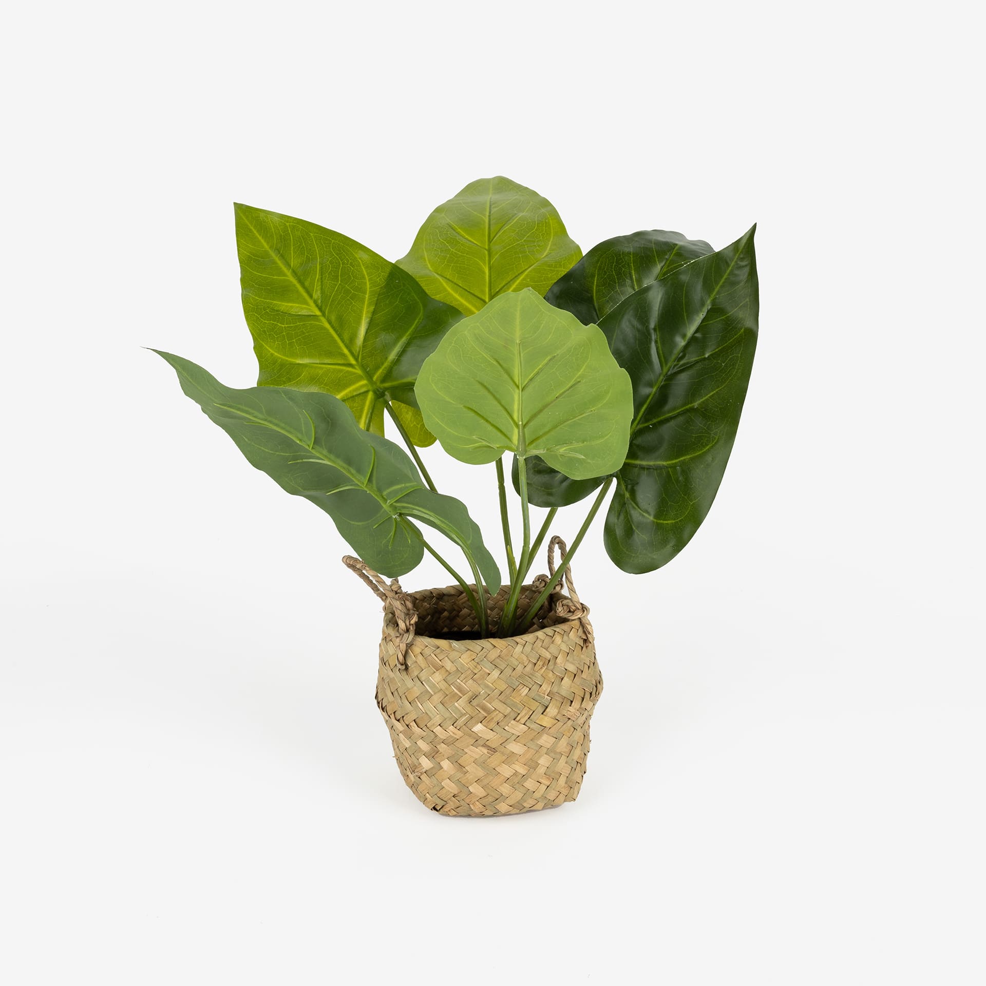 Planta artificial en maceta surtida 46cm