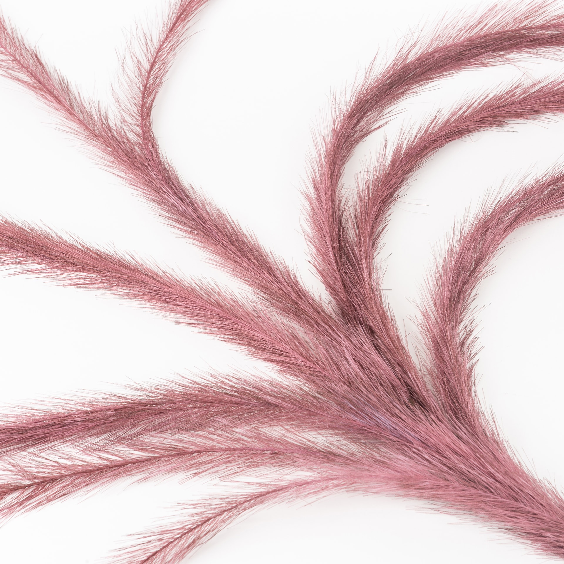 Vara pampa roja 130cm