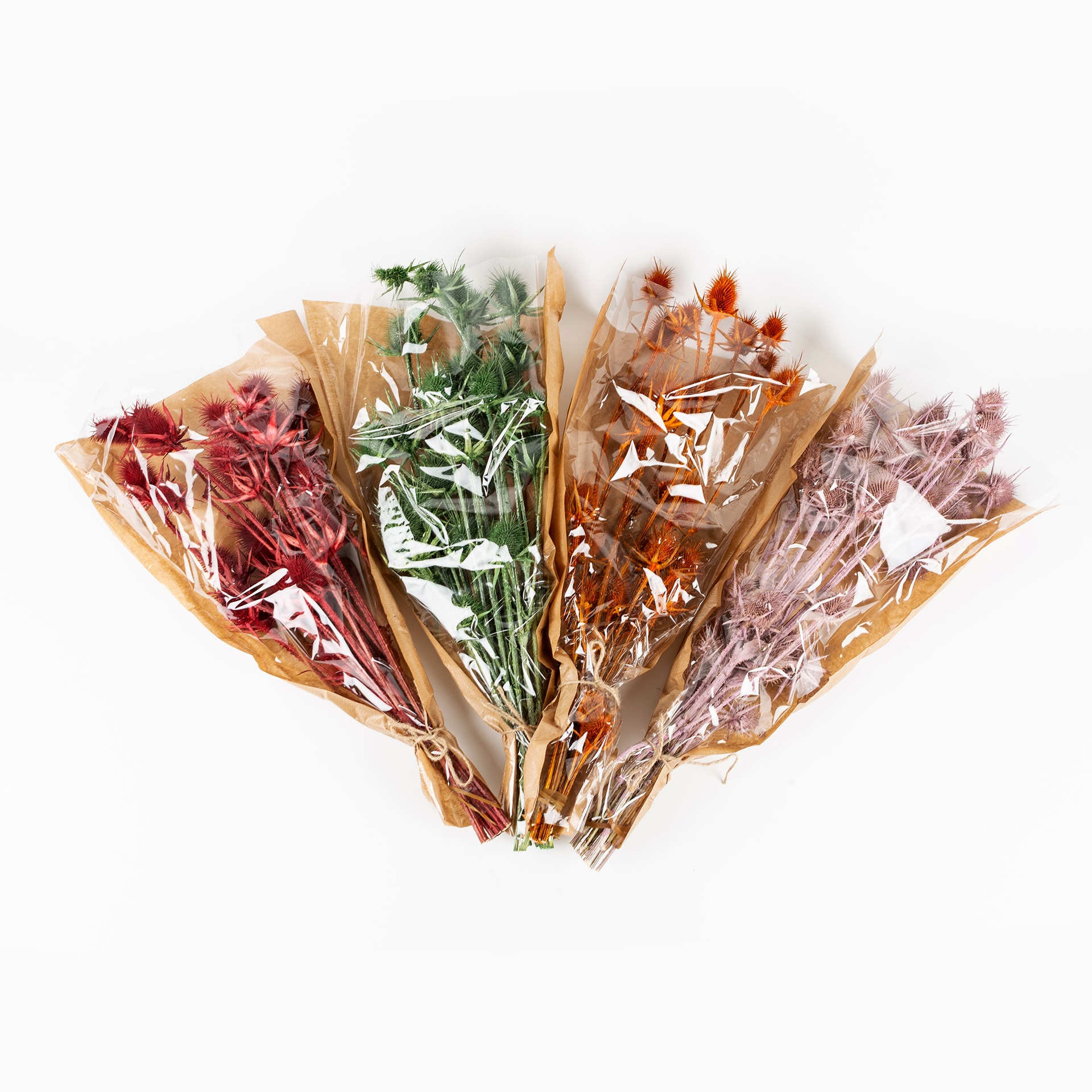 Ramo de flores secas 60cm en varios colores