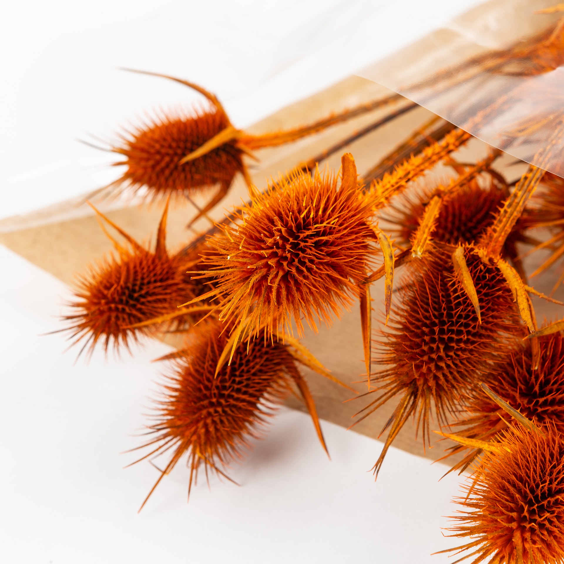 Ramo de flores secas 60cm en varios colores