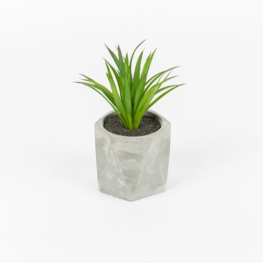 Cactus artificial en maceta Filifera 20cm