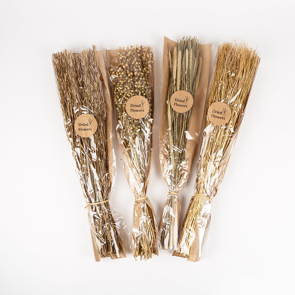 Ramo de ramas secas natural