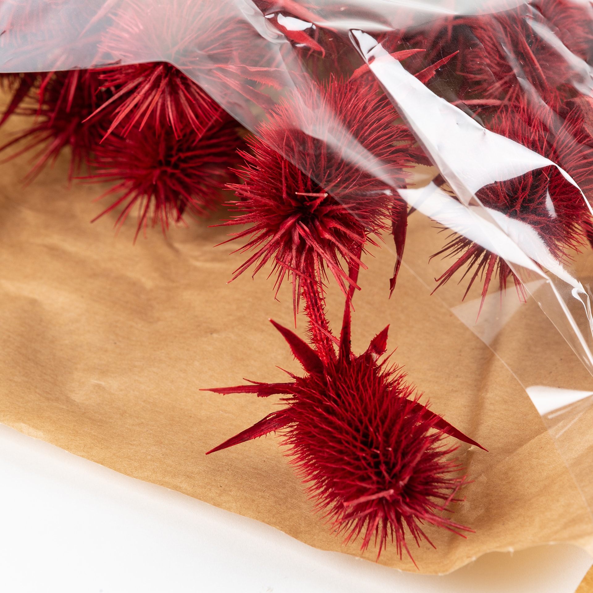 Ramo de flores secas 60cm en varios colores