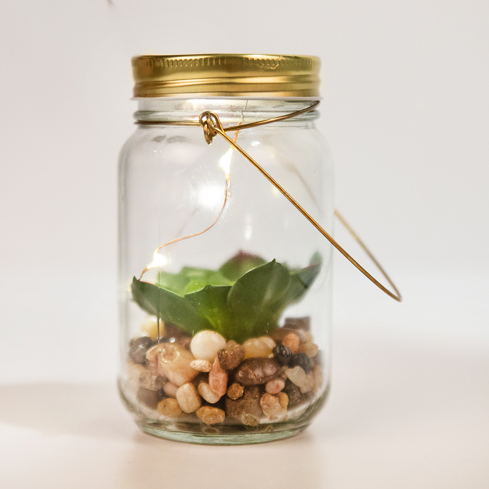 Lámpara LED con planta