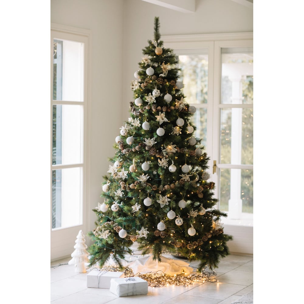 Christmas Tree Pino Royal