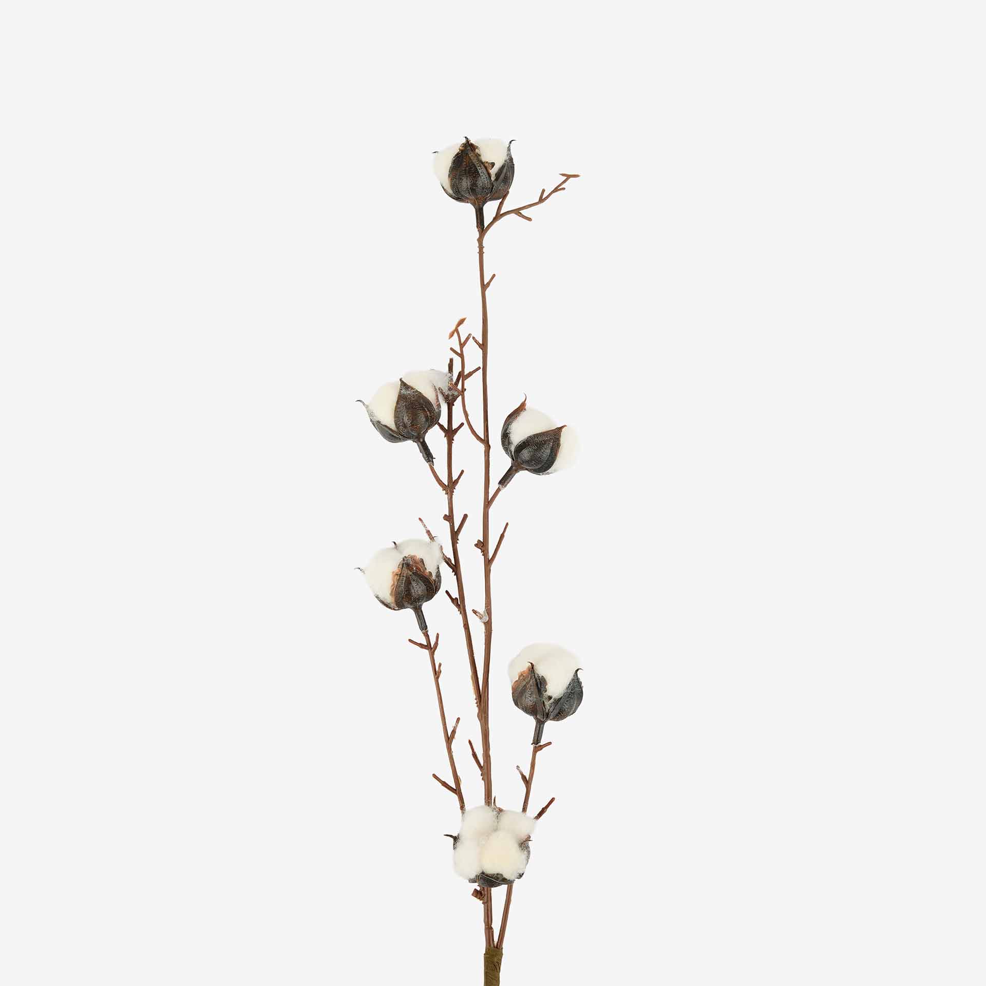 Rama de algodón de 62cm