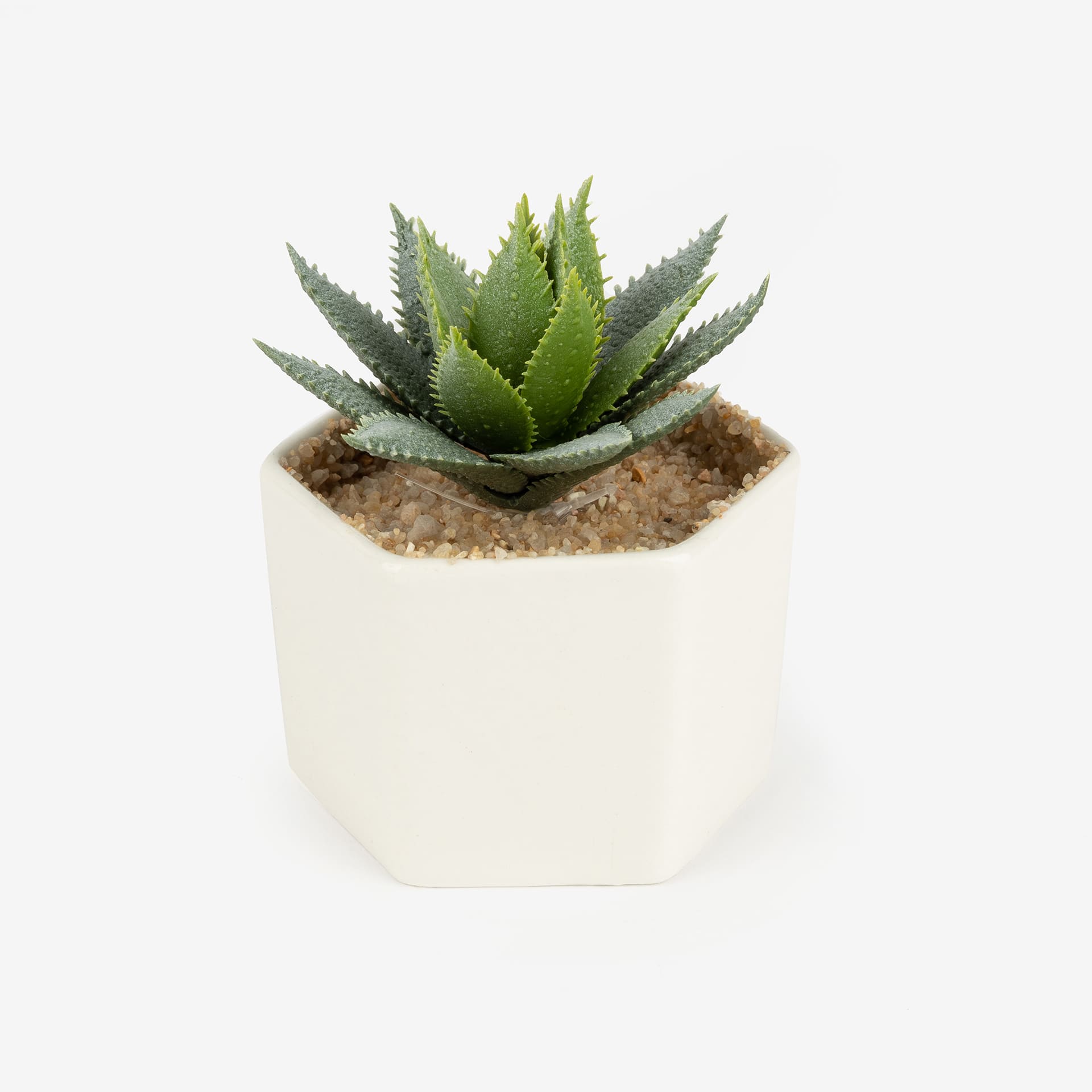 Cactus artificial con maceta en varios diseños 10cm