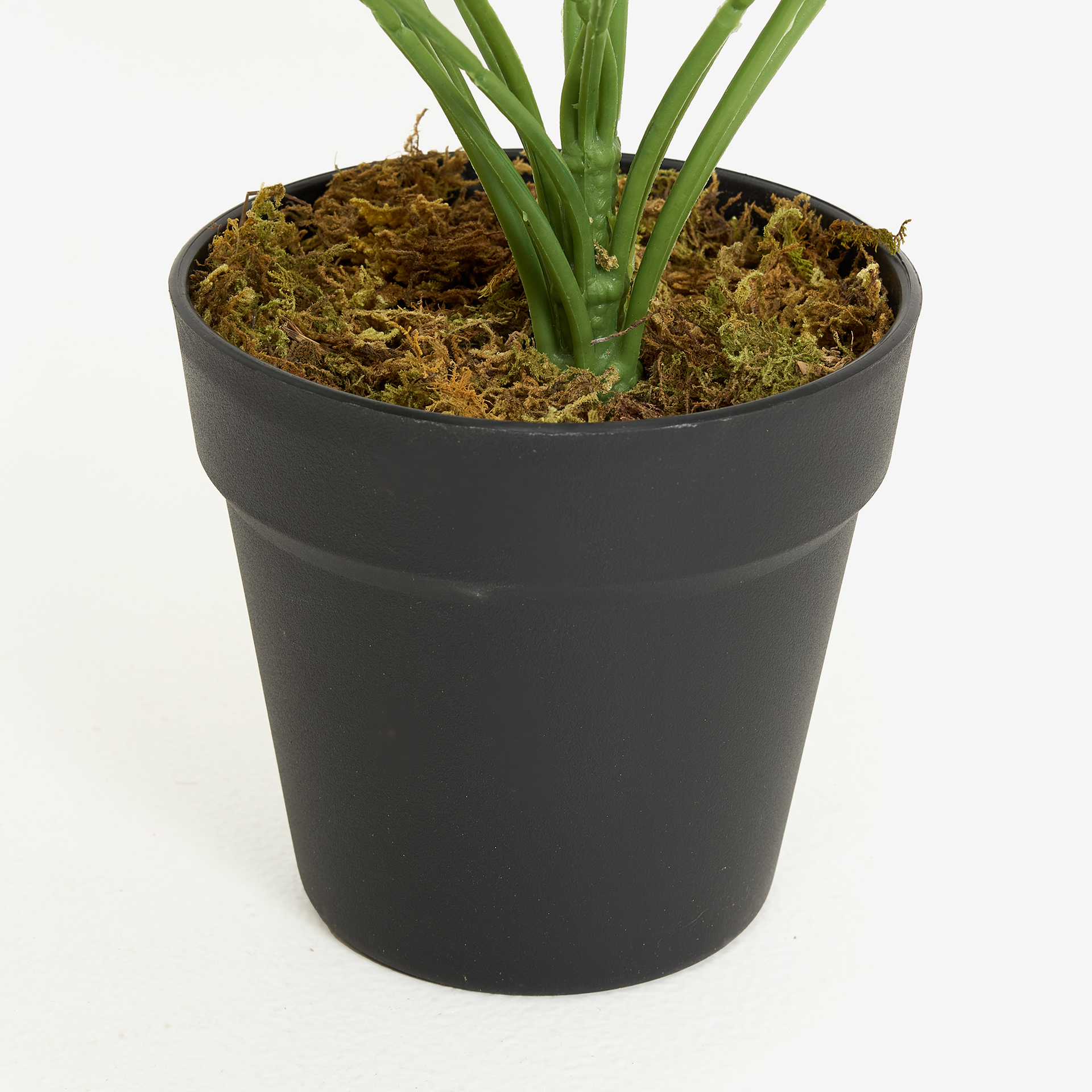 Planta artificial en maceta Singonio 60cm