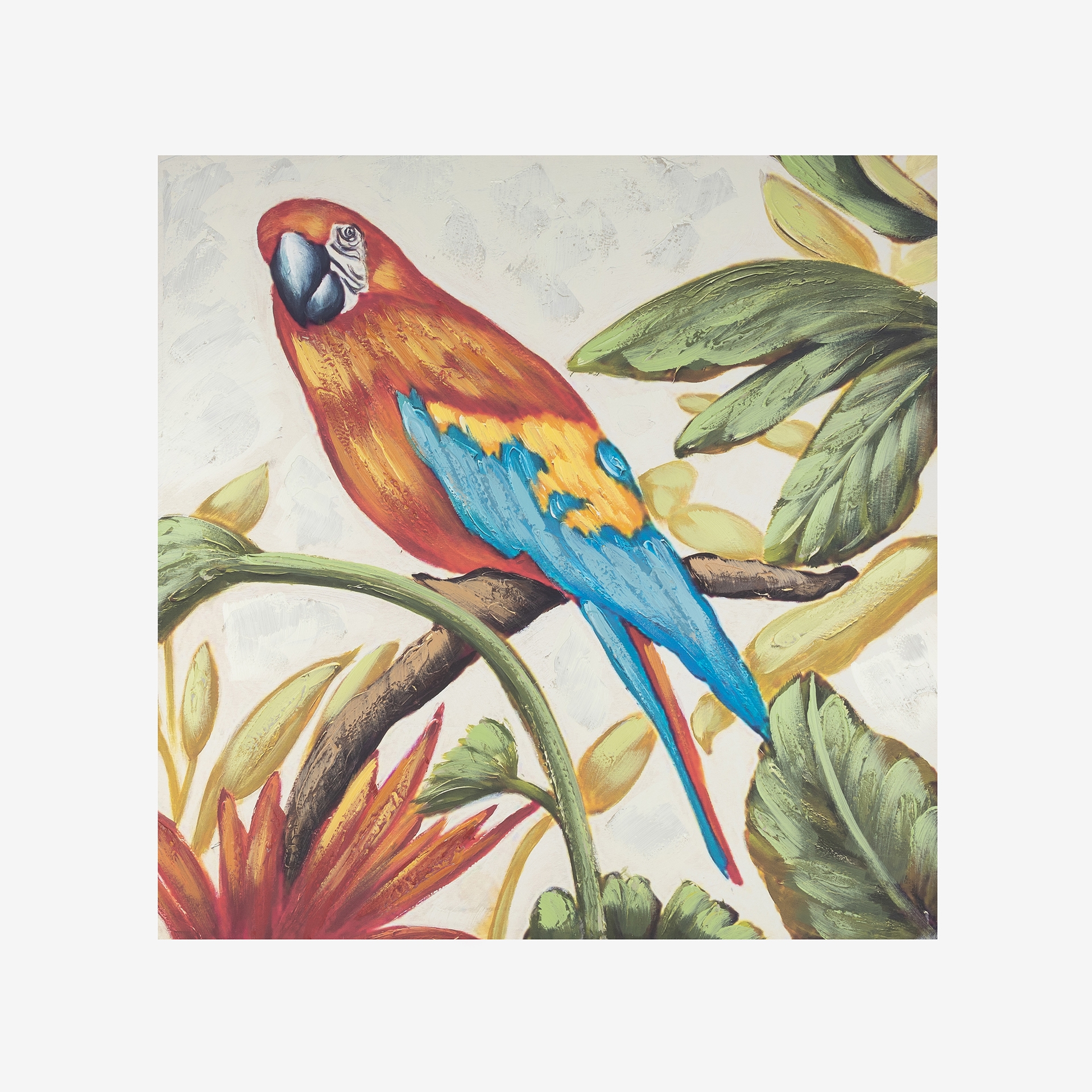 Cuadro con lienzo de un loro 80x80cm