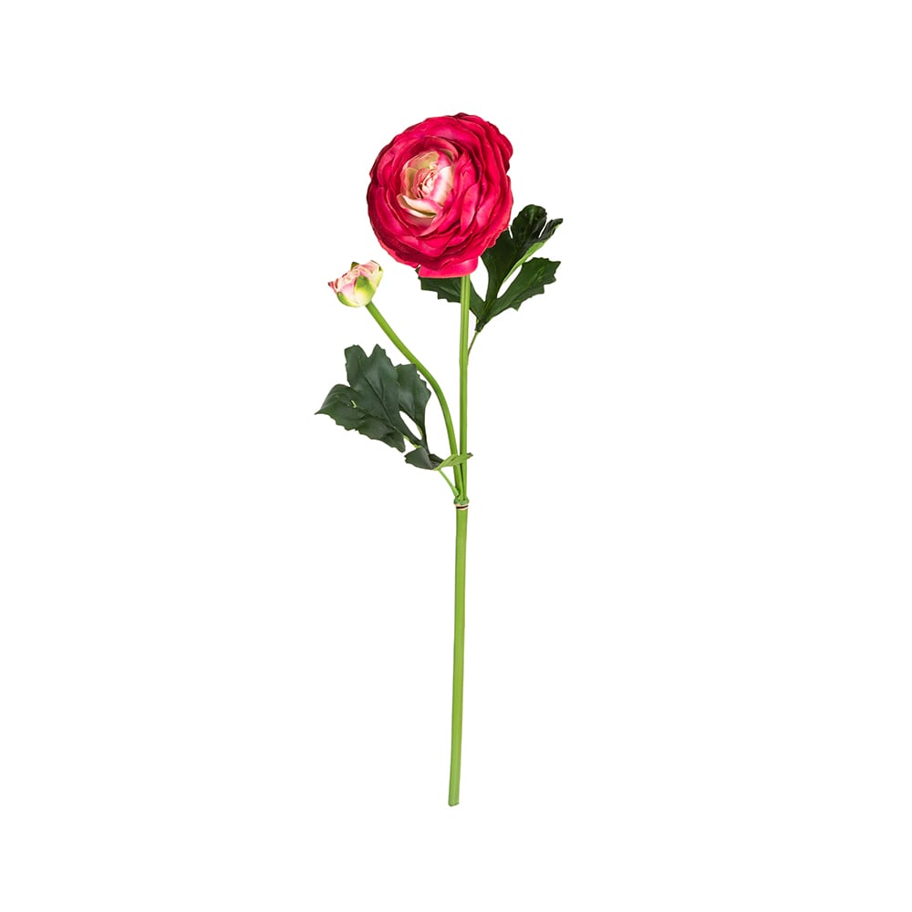 Vara de ran&uacute;nculo grande fucsia 55cm