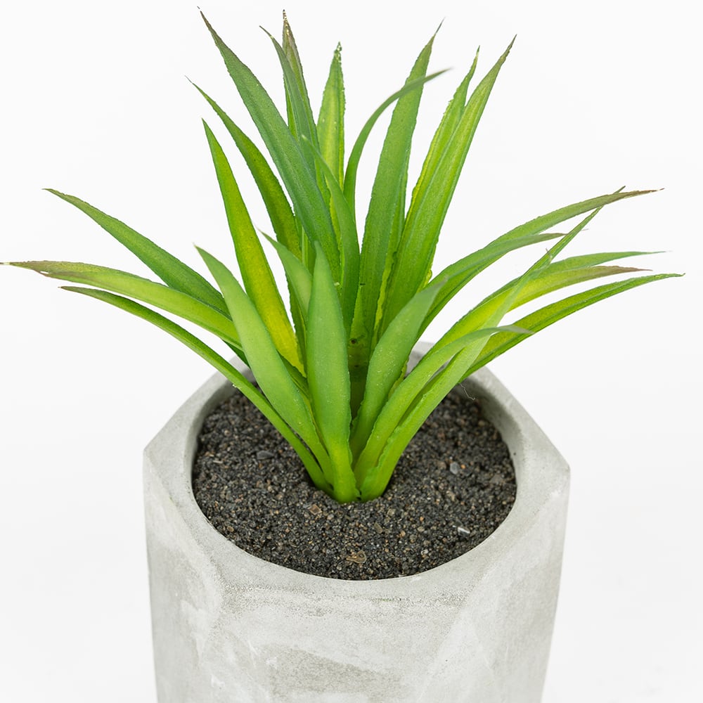 Cactus artificial en maceta Filifera 20cm