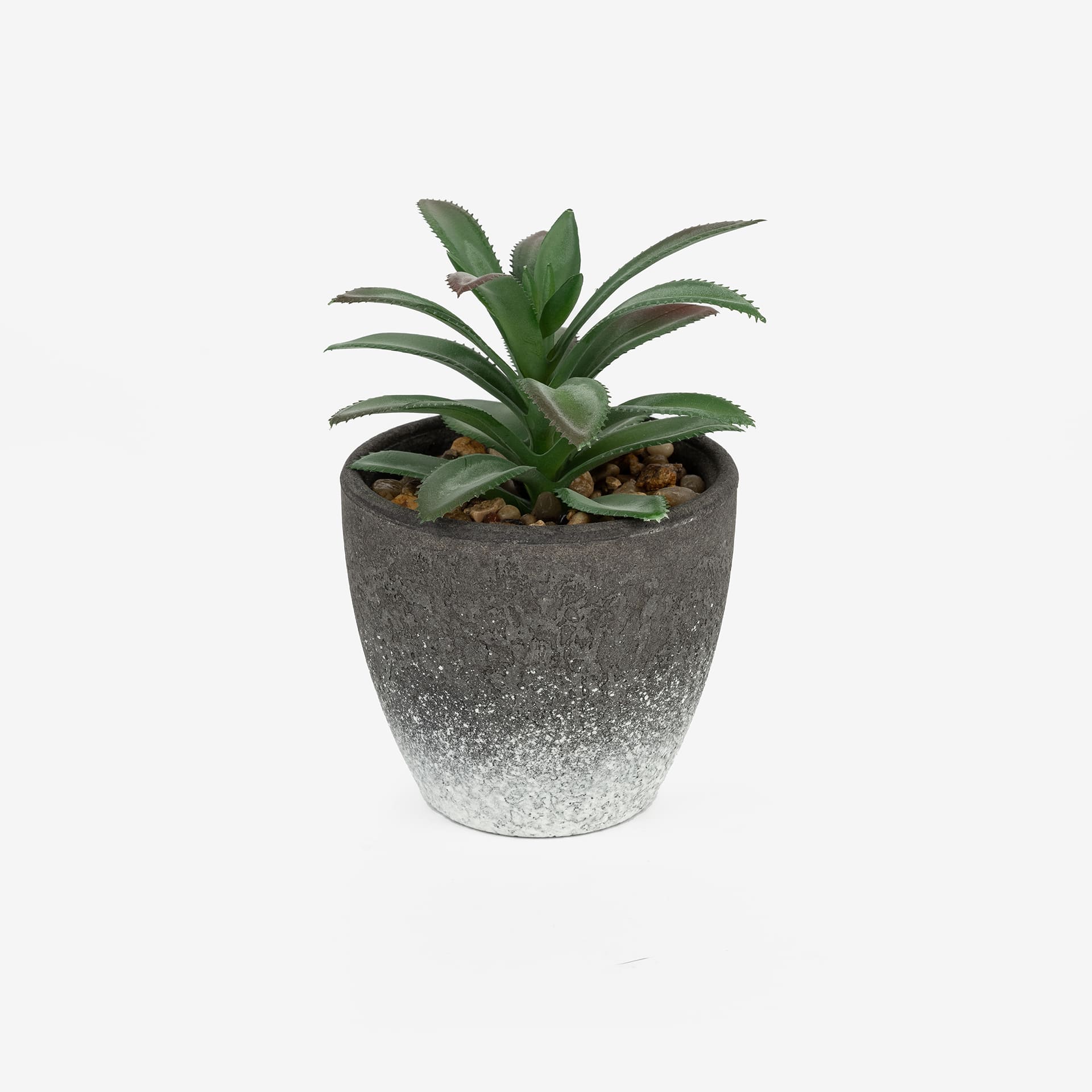 Cactus artificial en varios dise&ntilde;os 10cm