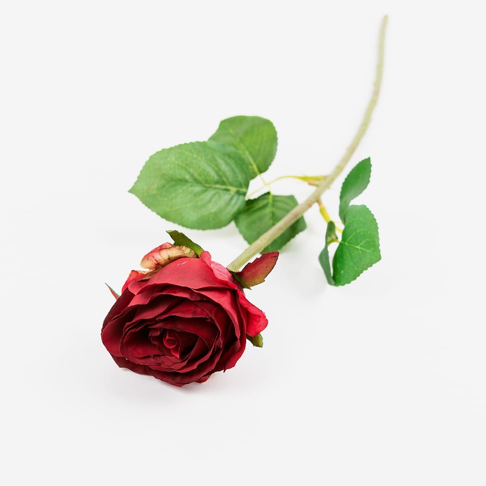 Vara rosa alena roja 48cm