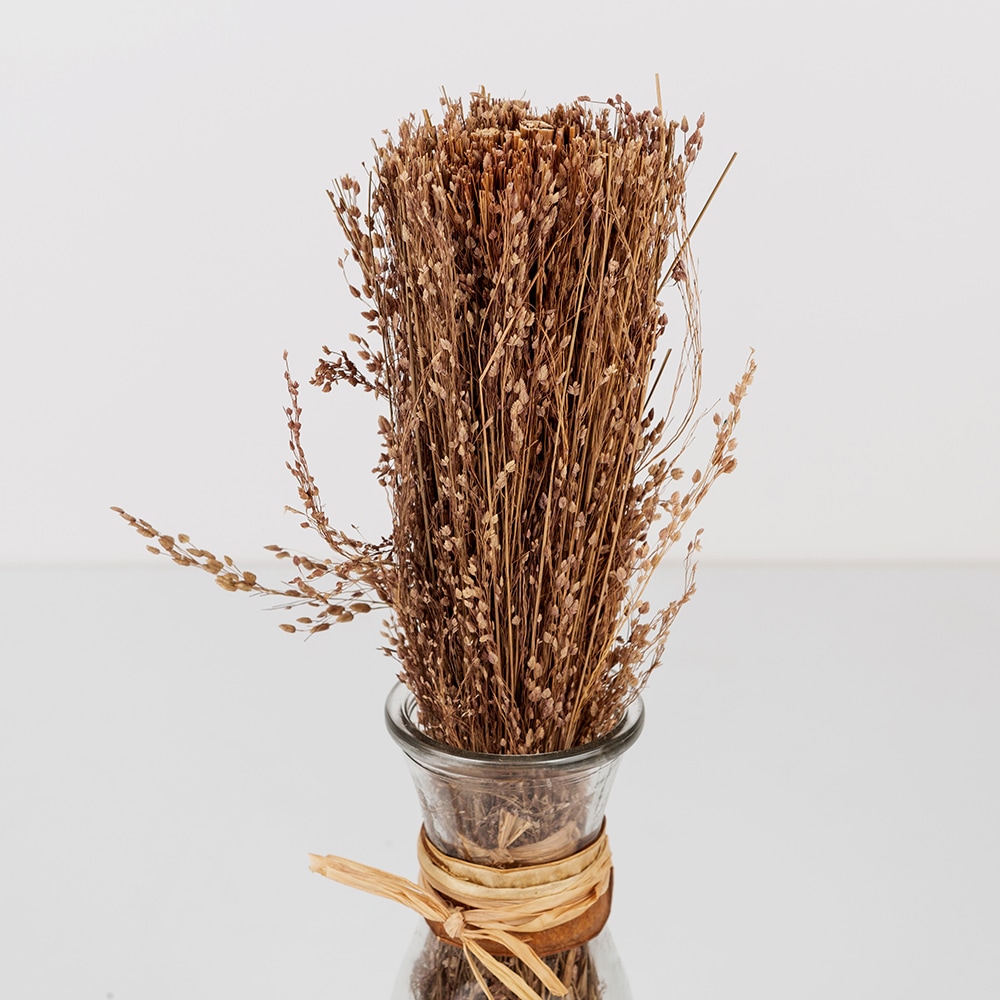 Jarr&oacute;n de cristal con hierba decorativa