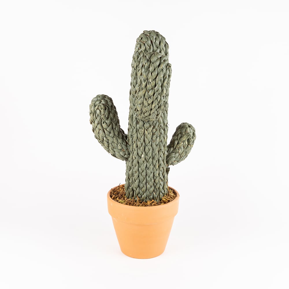 Cactus de cuerda en maceta 2 modelos a elegir 50x15cm