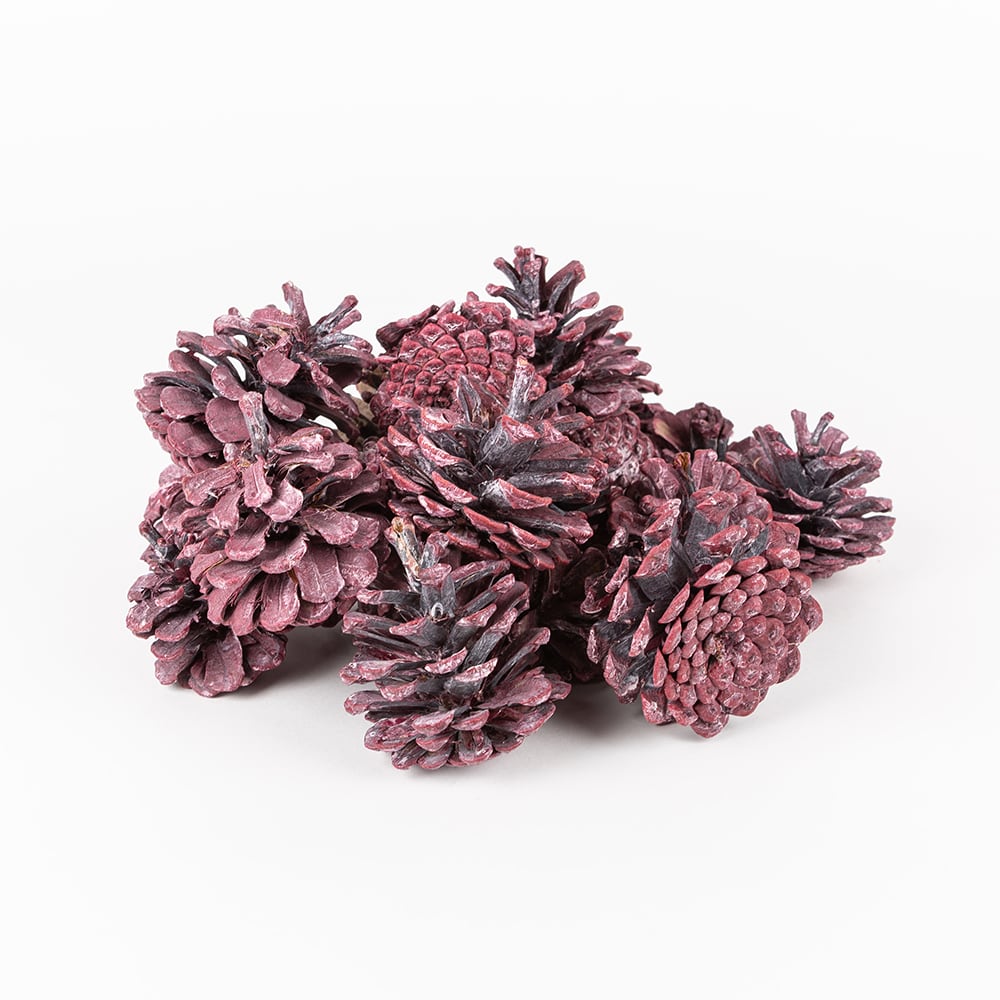 Bolsa piñas 300g surtida