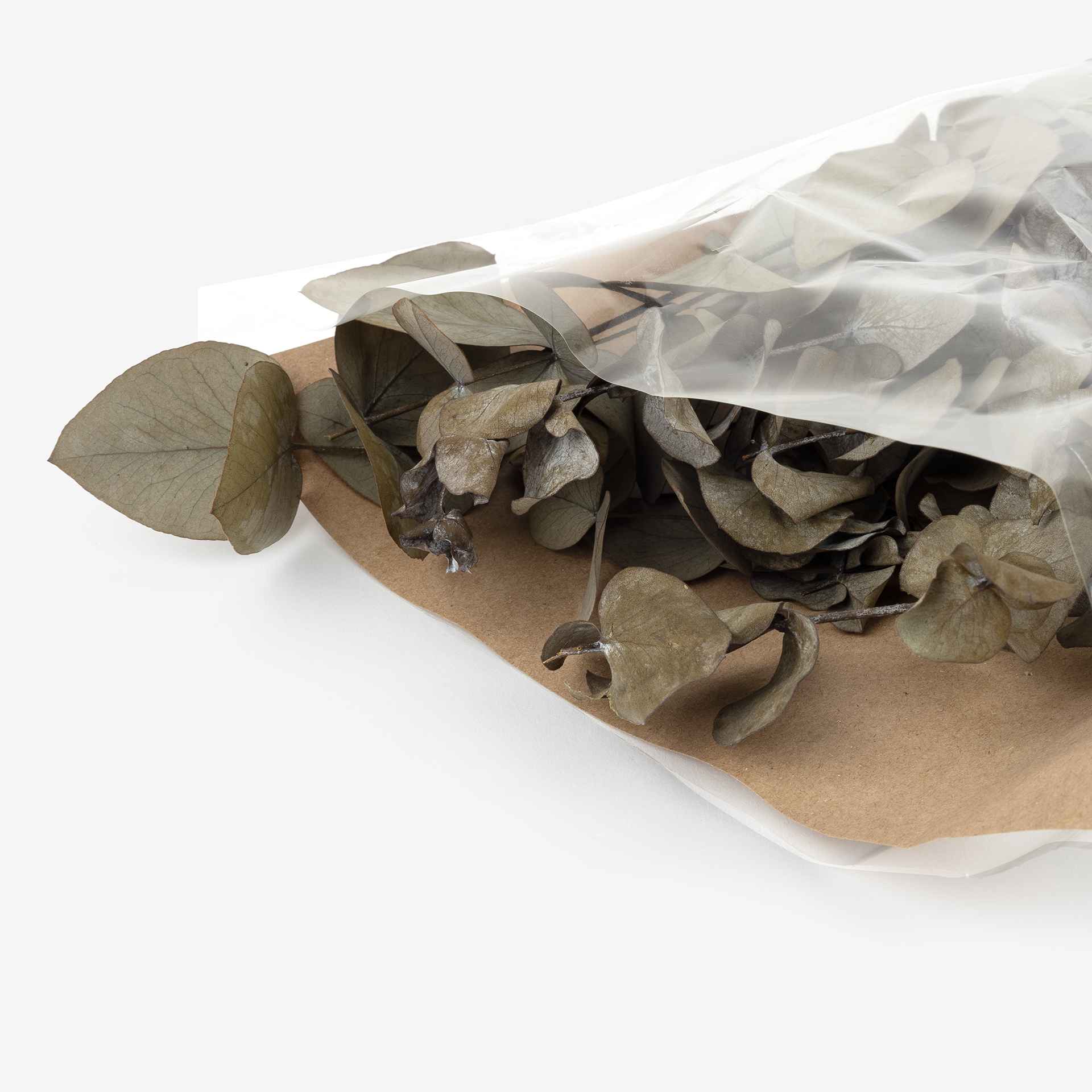 Ramo de eucalipto verde 56cm