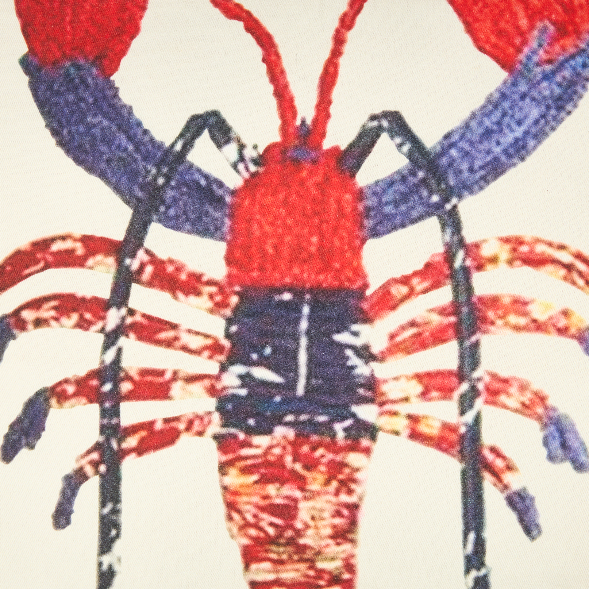 Funda de coj&iacute;n de algod&oacute;n Lobster 45x45cm