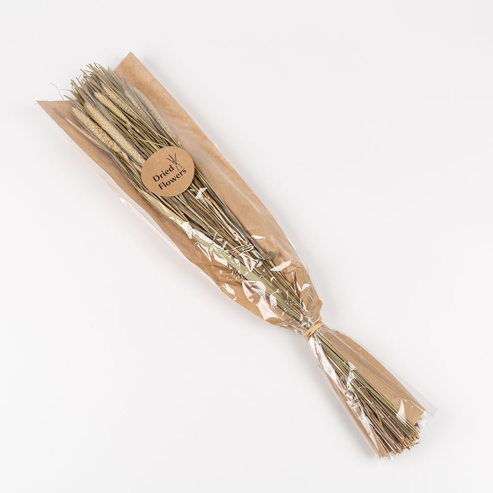 Ramo de ramas secas natural