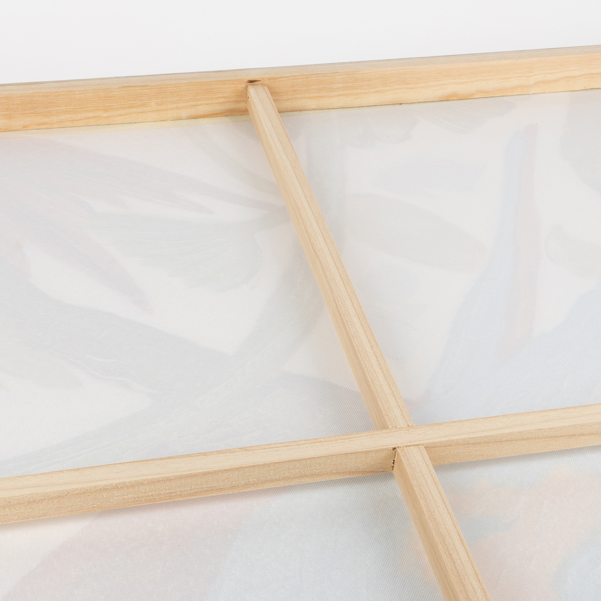 Cuadro con lienzo de un loro 80x80cm