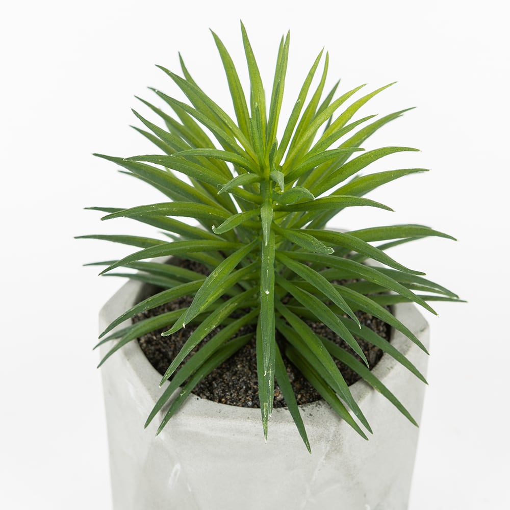 Cactus artificial en maceta Filifera 20cm