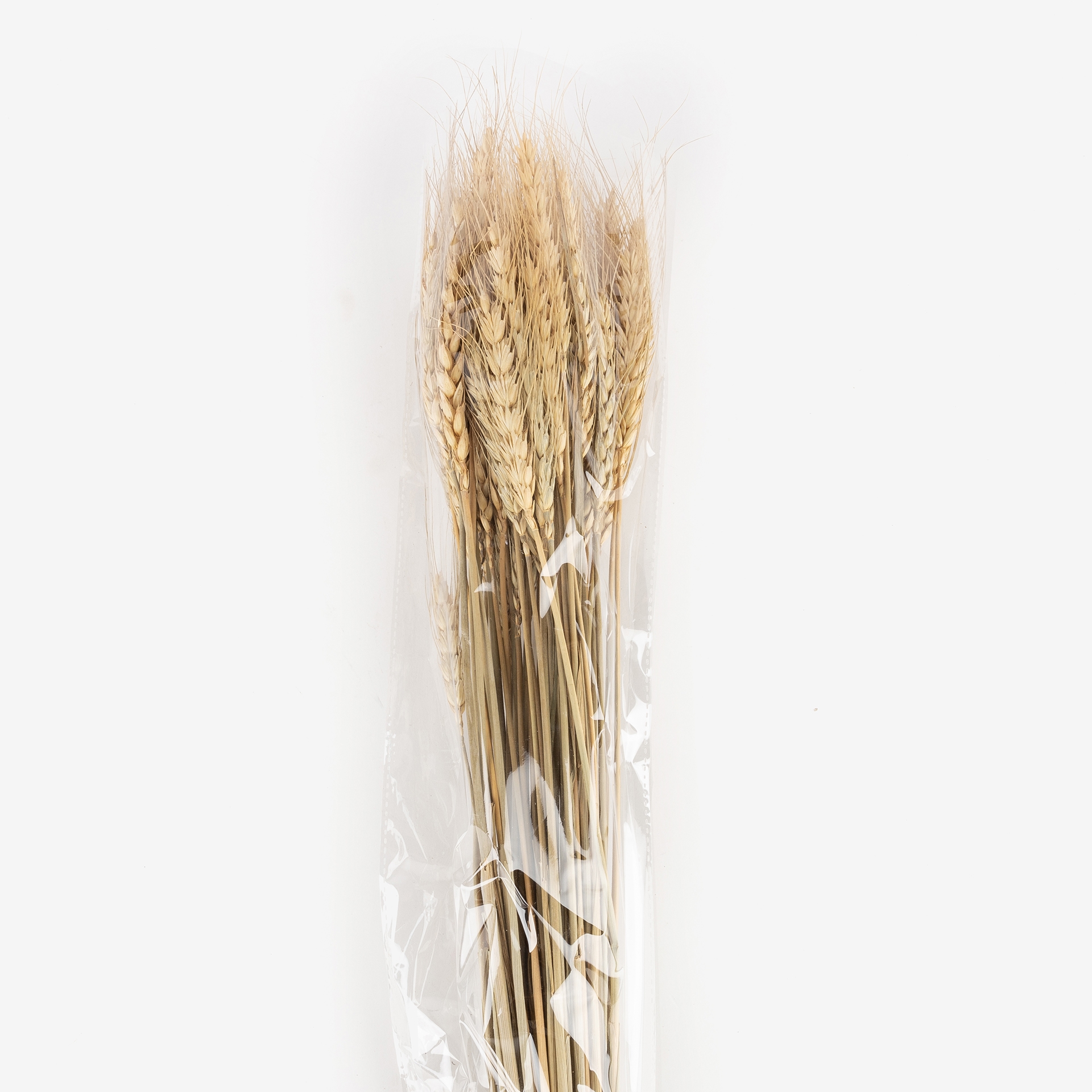 Rama de flores seca de espigas de 60cm