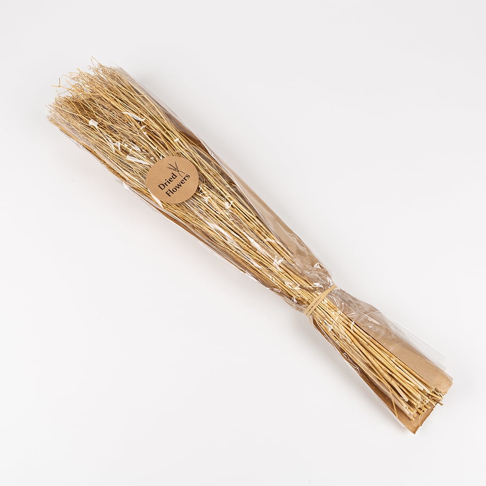 Ramo de ramas secas natural