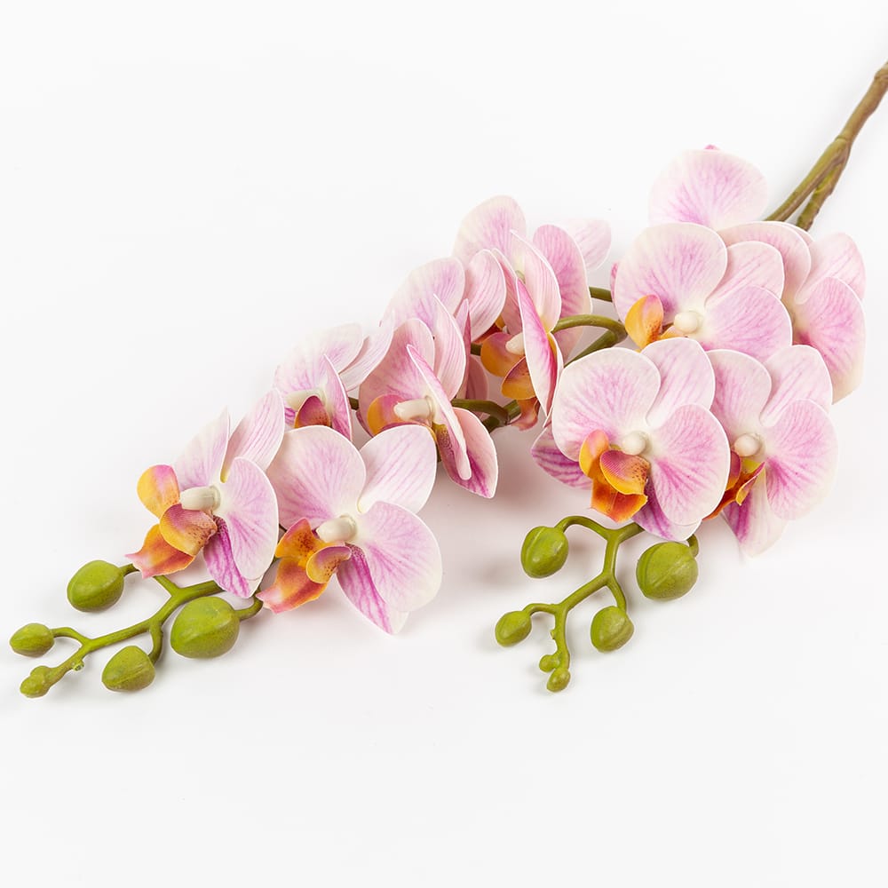 Vara orquidea mini rosa 64cm