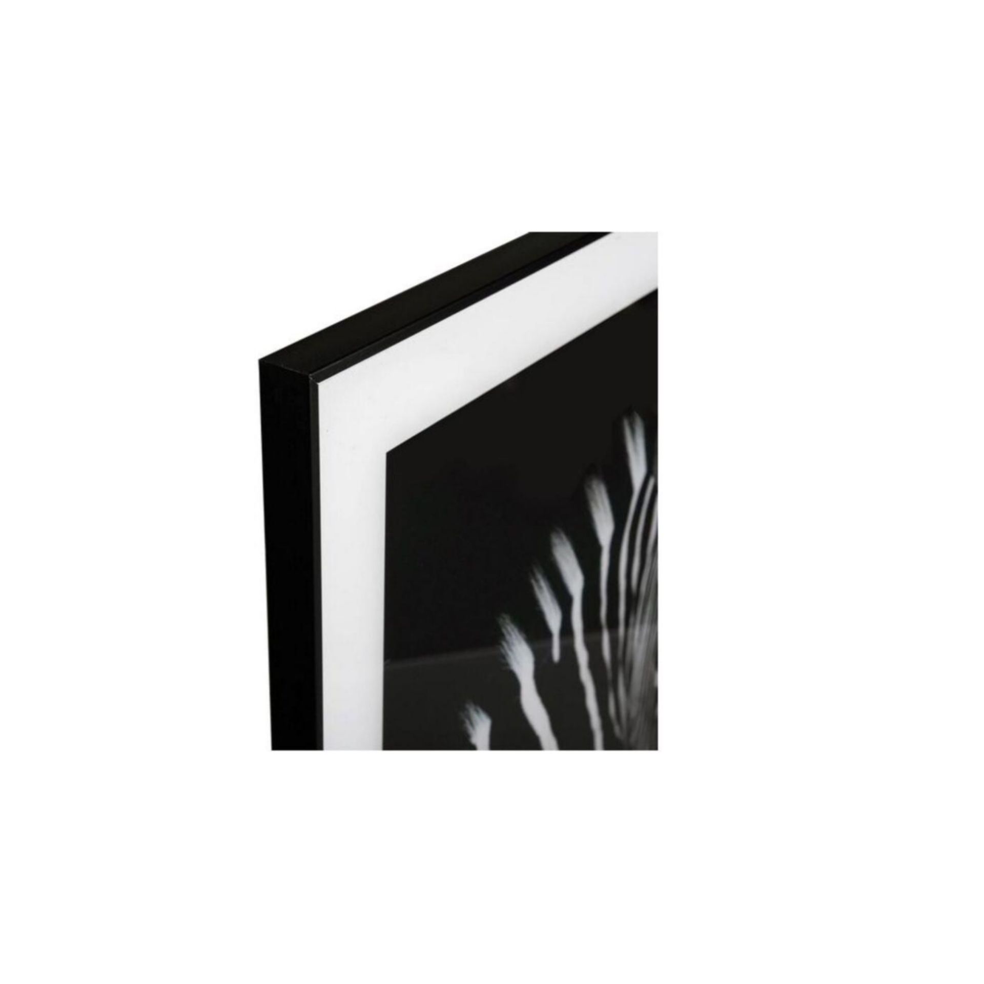 Cuadro con marco y cristal Zebra 50x50cm