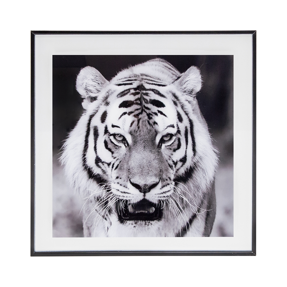 Cuadro tigre blanco y negro Thun 50cm