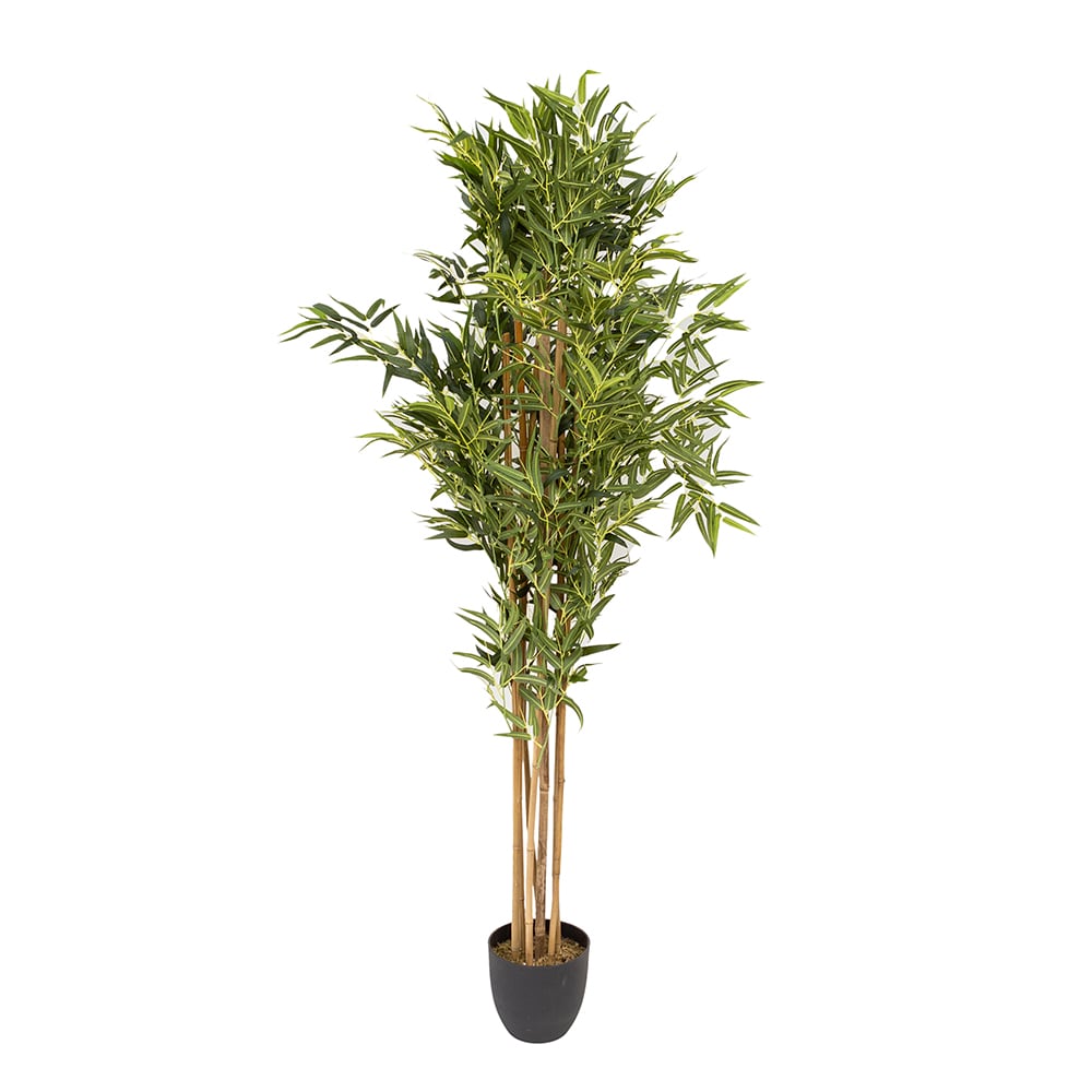Planta de bambú artificial en maceta 180cm