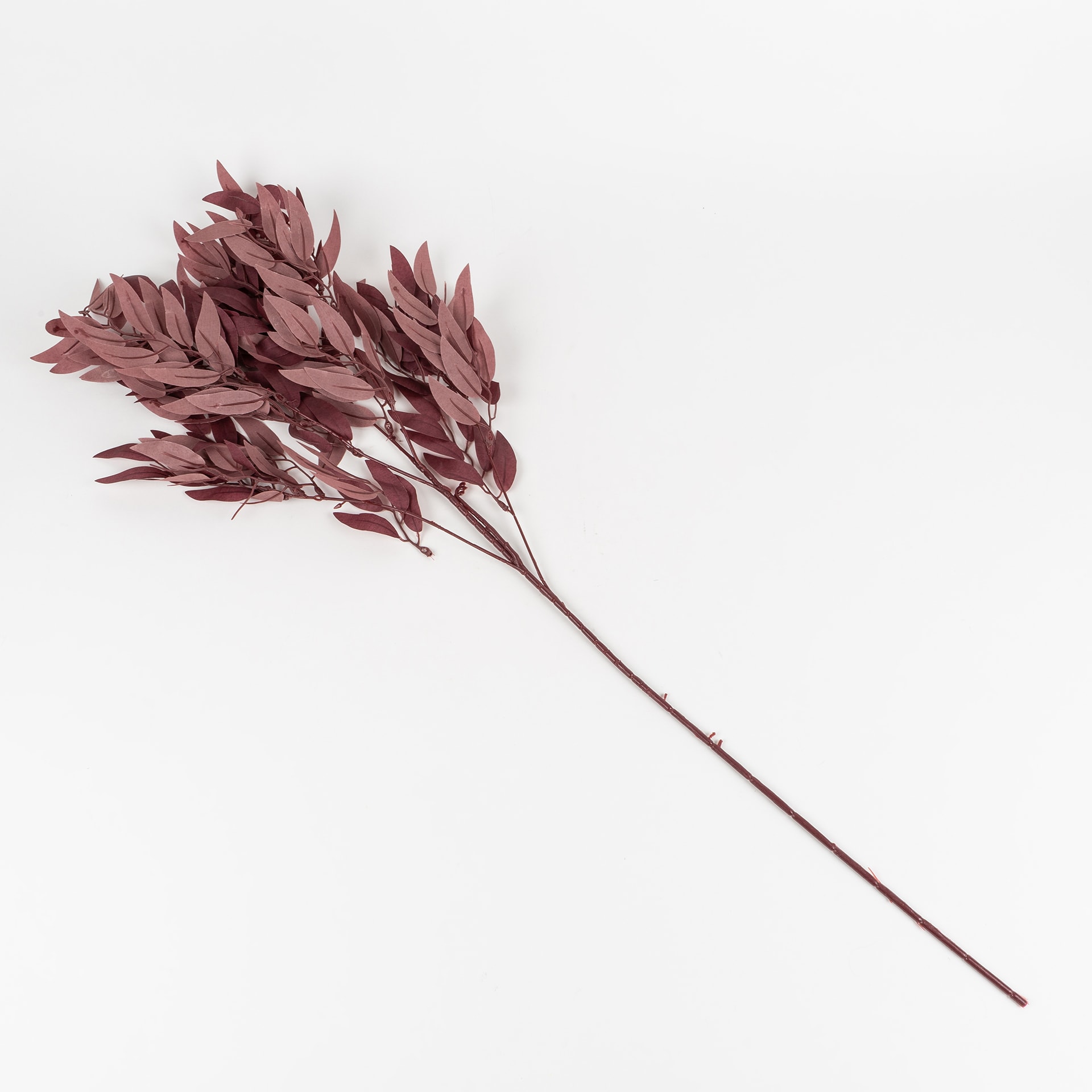 Rama de olivo marr&oacute;n