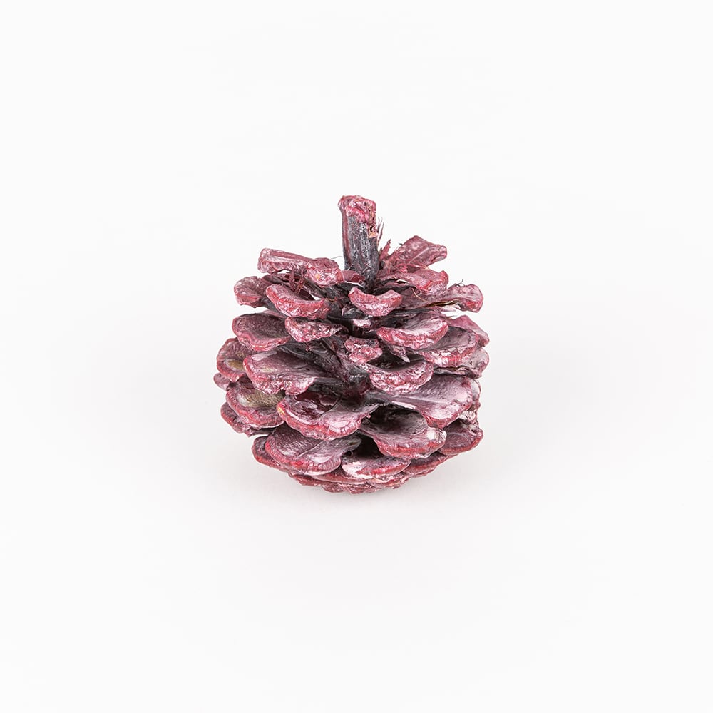 Bolsa piñas 300g surtida