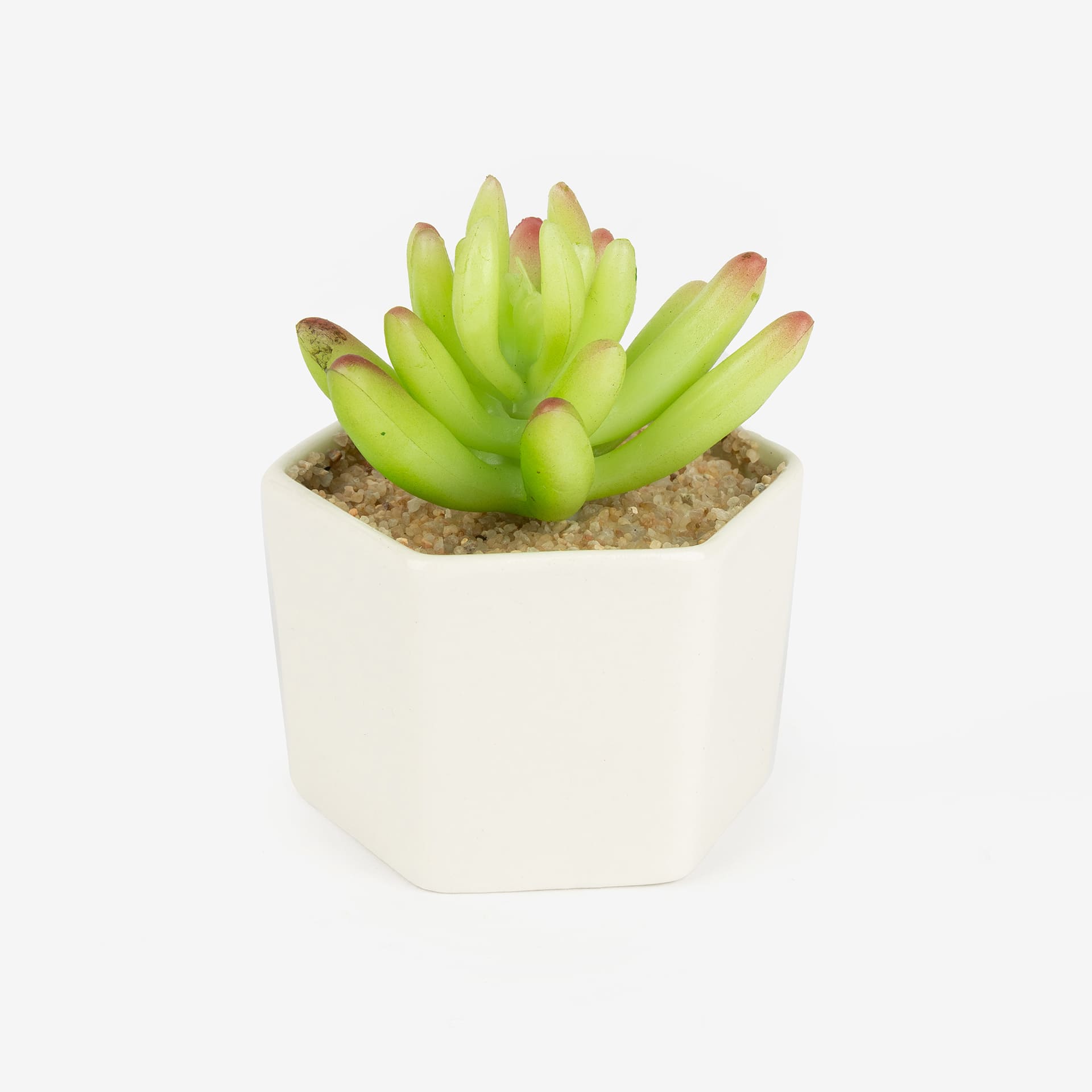 Cactus artificial con maceta en varios diseños 10cm